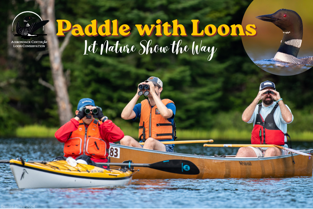 Guided Paddle 