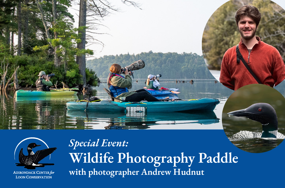 Wildlife Photography Paddle 