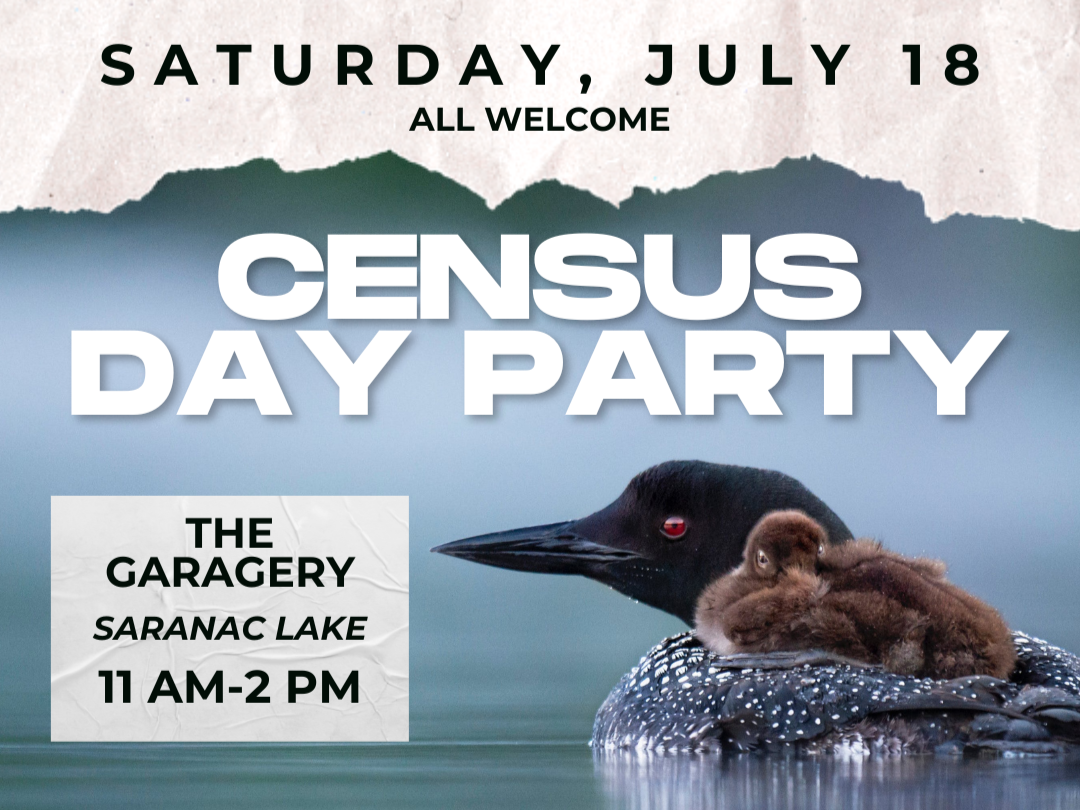 Census Day Party