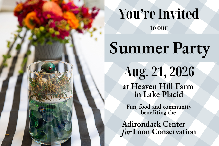 Annual Summer Party 