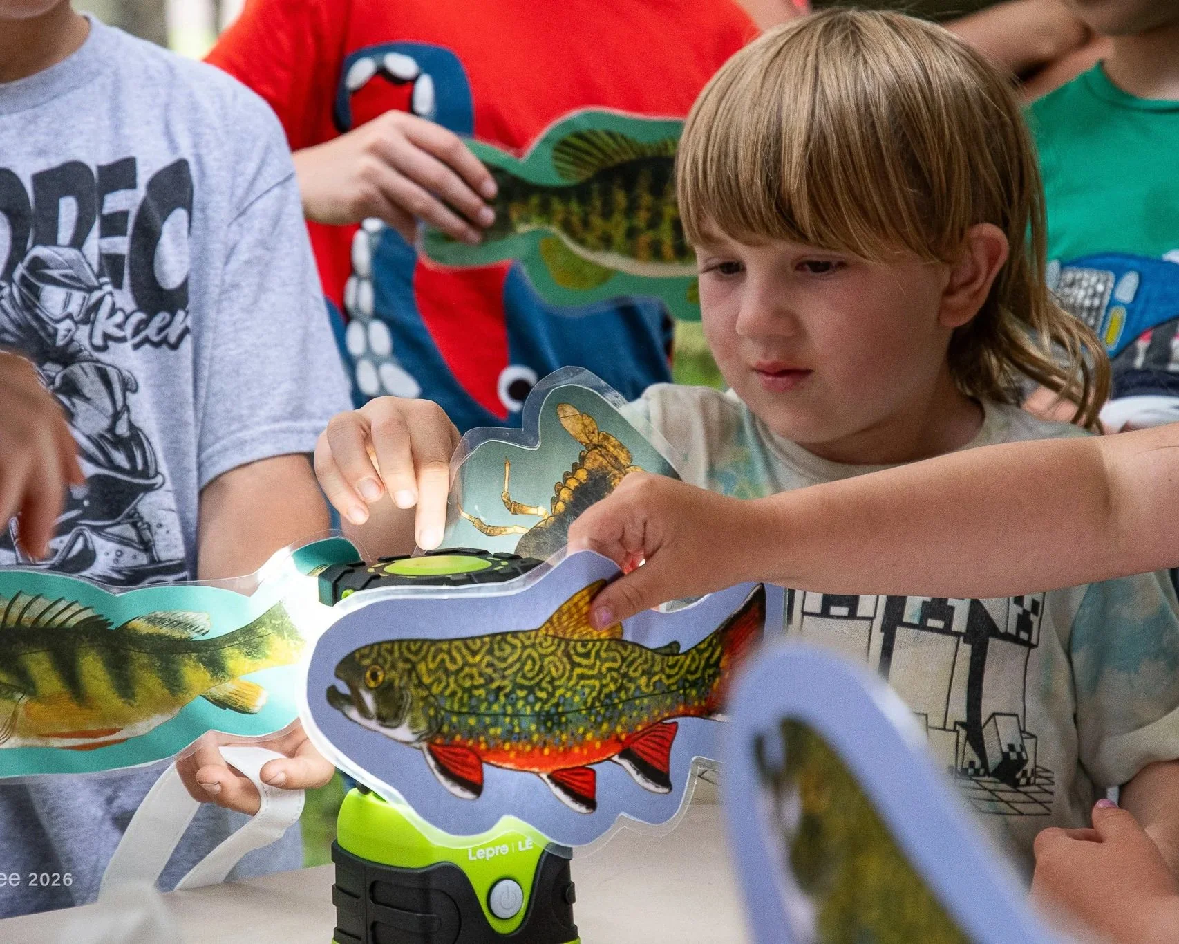 Kids’ Program Tackles Lead Danger to Loons
