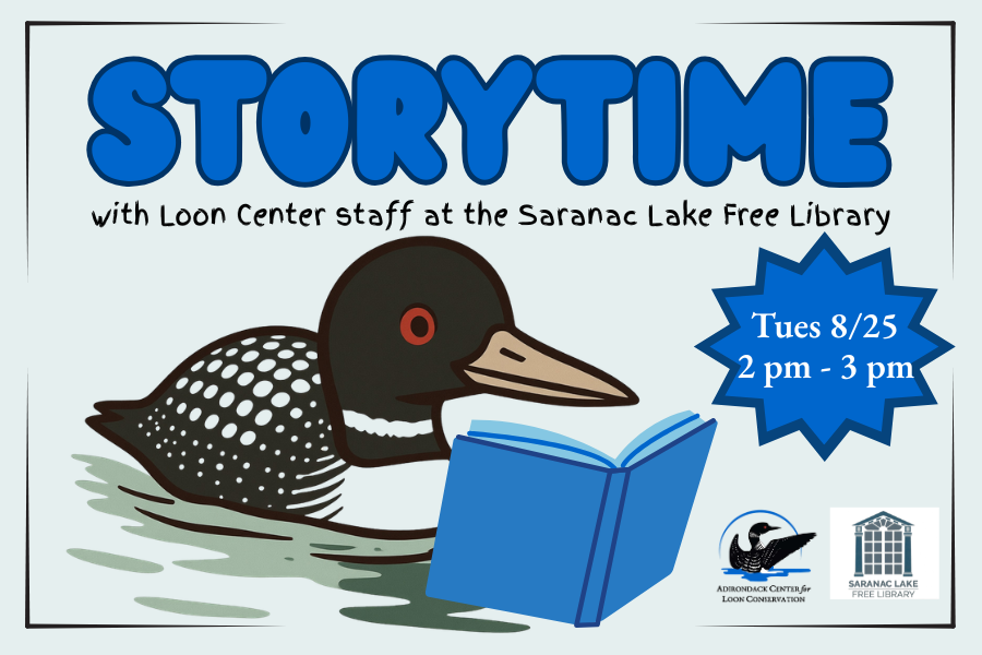 Story Time at the Saranac Lake Free Library
