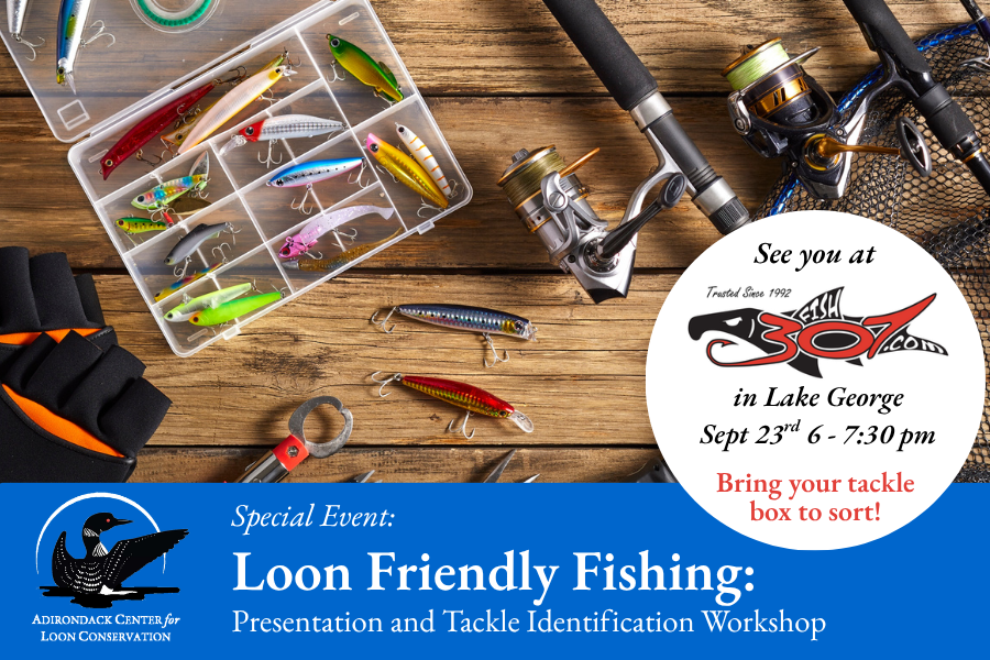 Loon Friendly Fishing: Presentation & Tackle ID Workshop