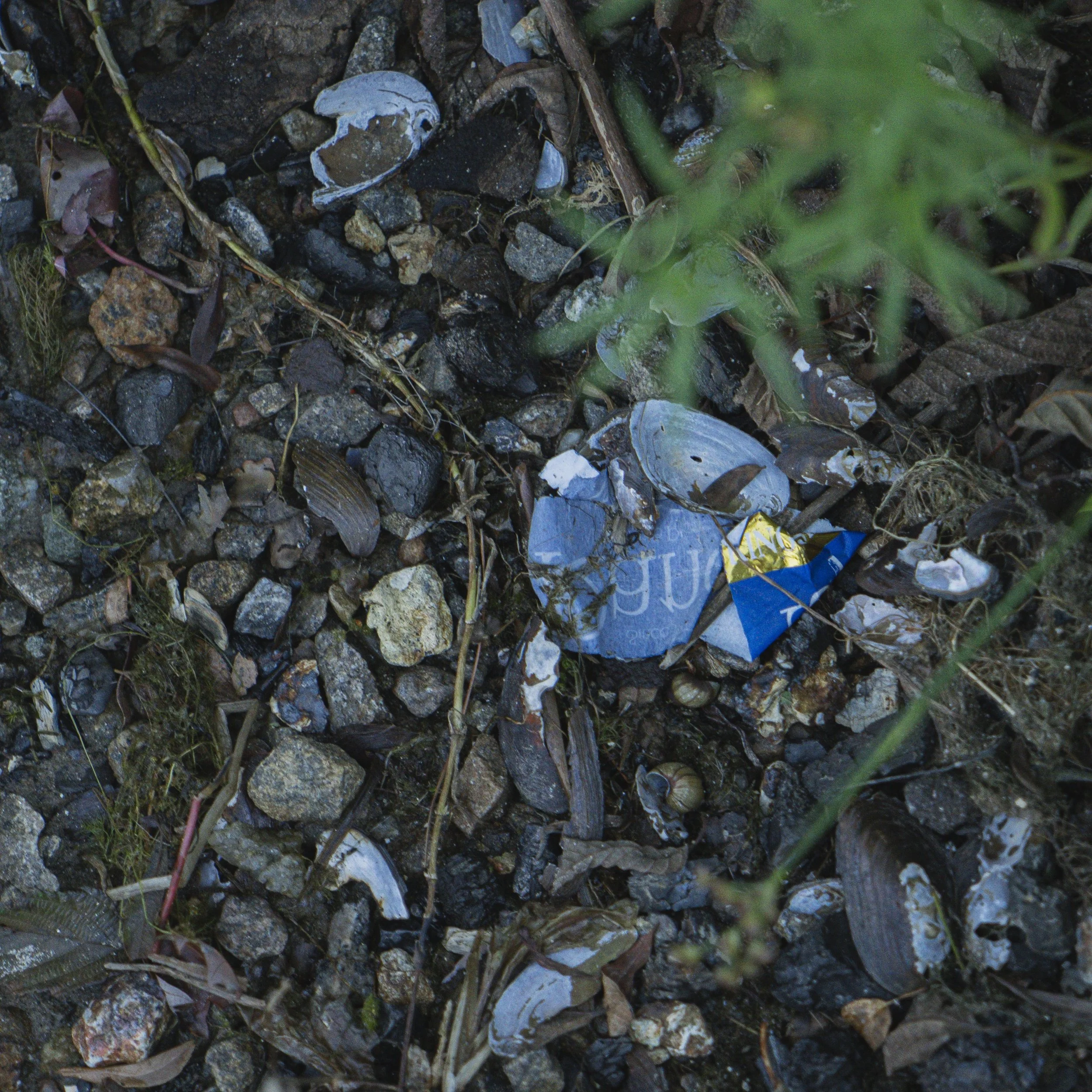 2026.09.07_cpeirce_plasticwaste-57.jpg