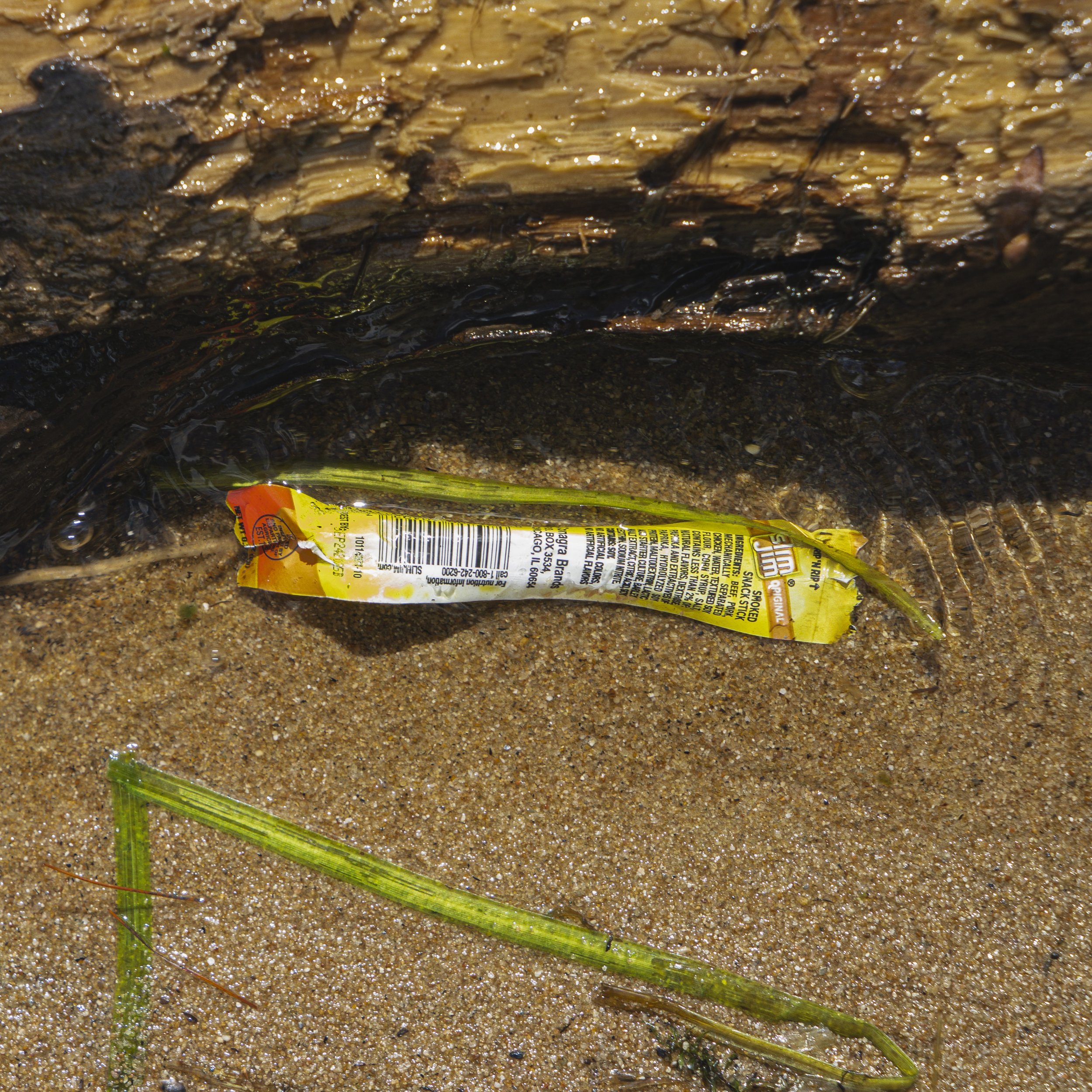 2026.09.07_cpeirce_plasticwaste0025.jpg
