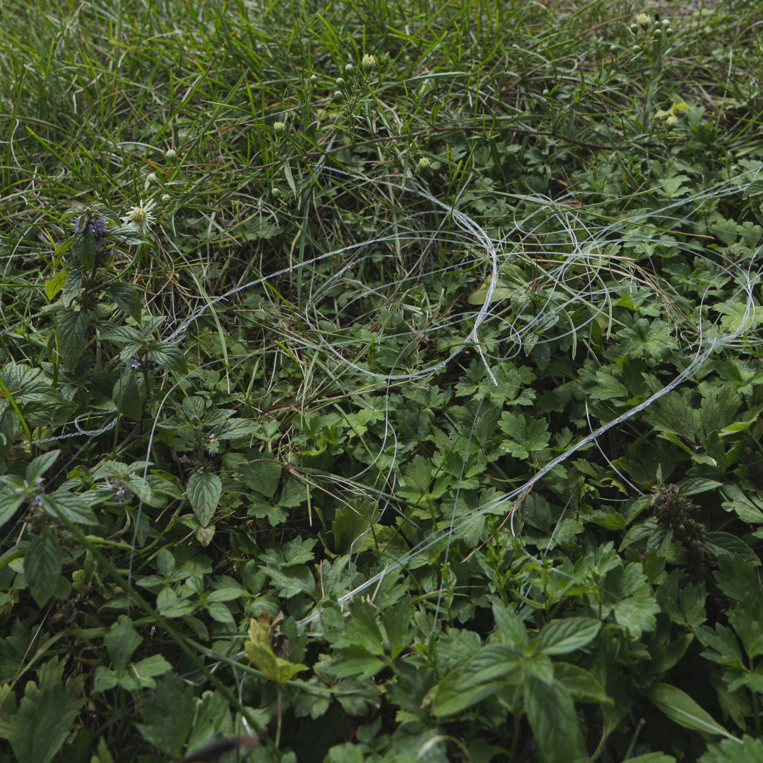 2026.09.07_cpeirce_plasticwaste0005.jpg
