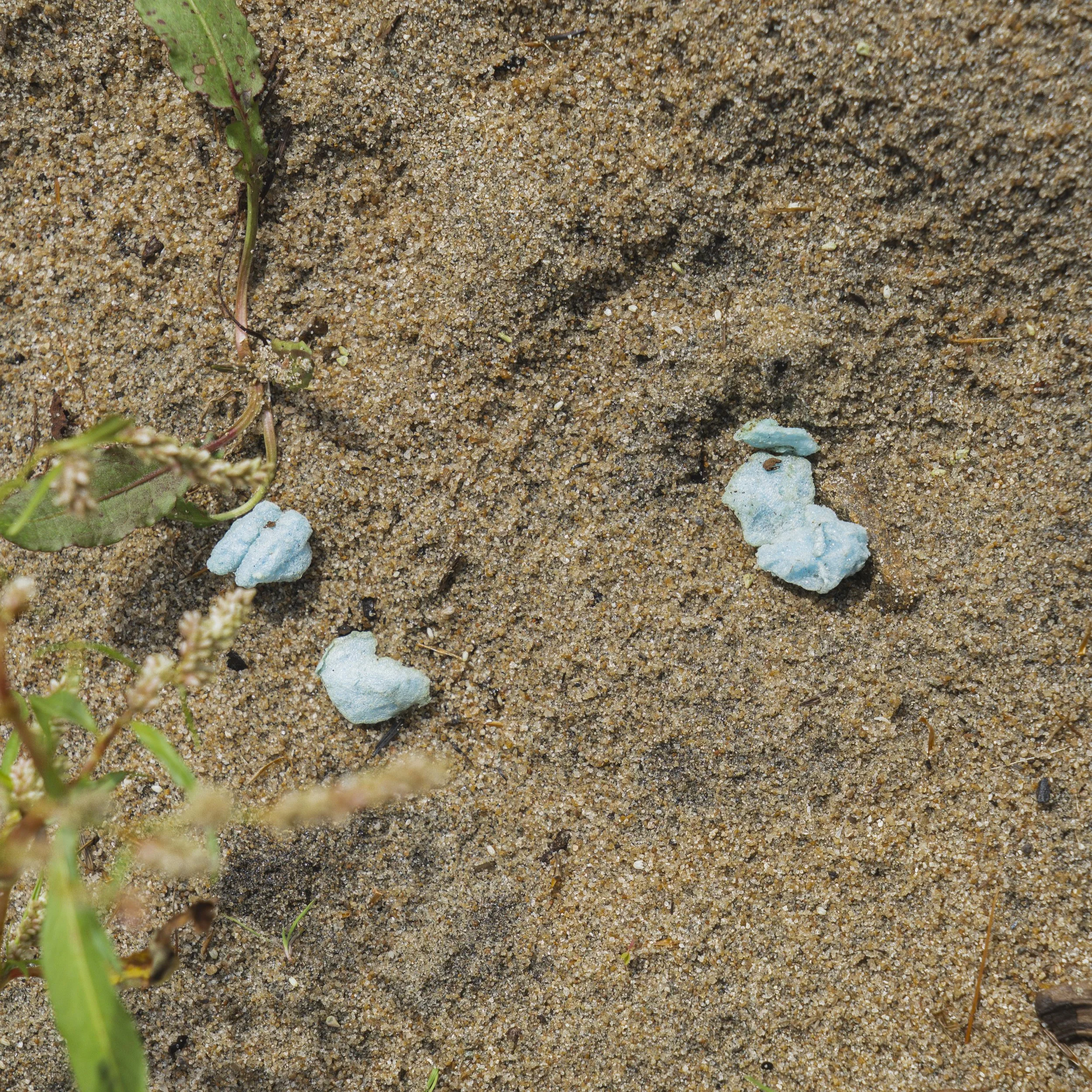 2026.09.07_cpeirce_plasticwaste0038.jpg
