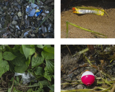 Landscapes of Plastic: Water, Food Webs &amp; Loons
