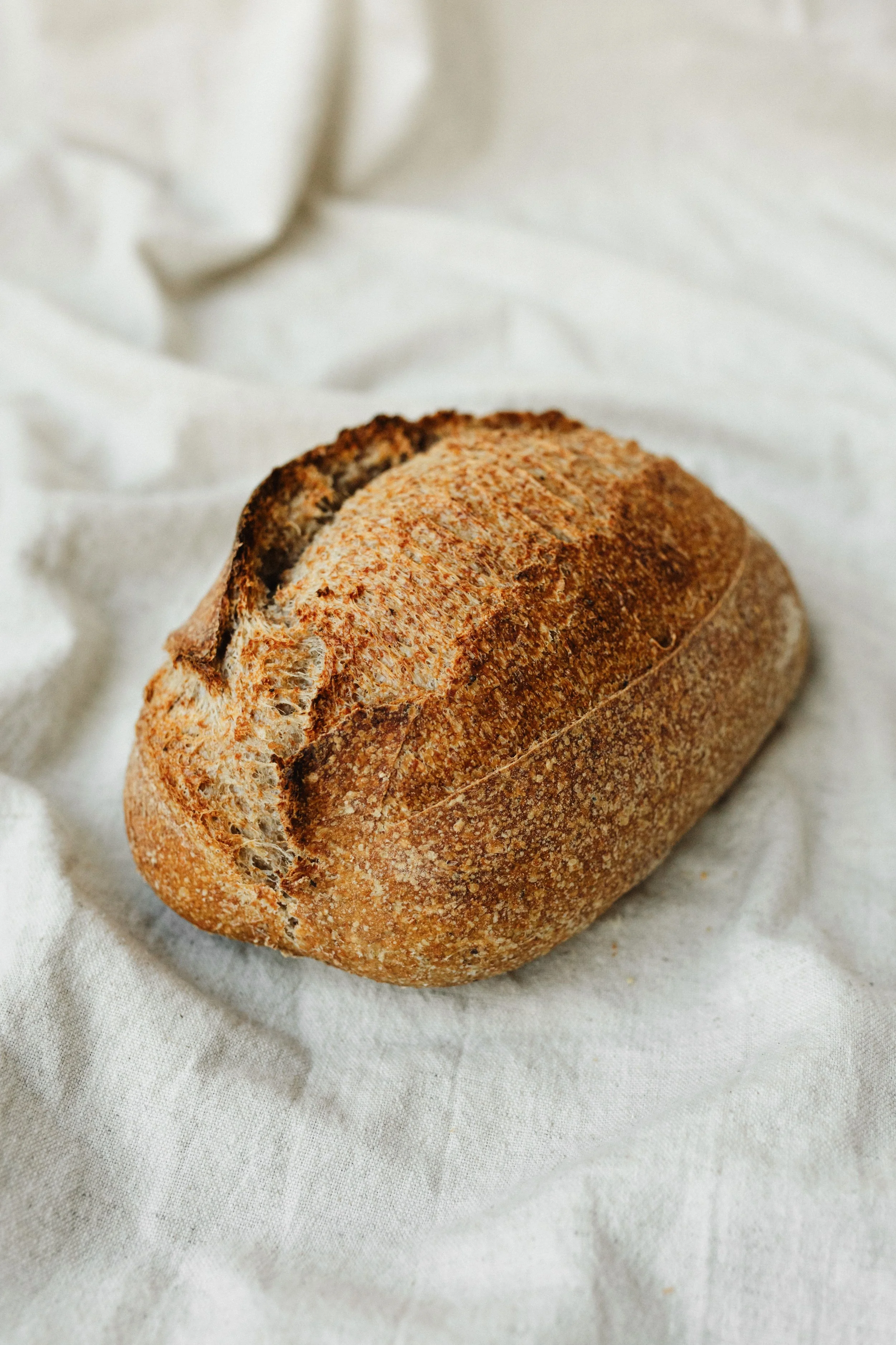 Signature tarwe donker 3.JPG