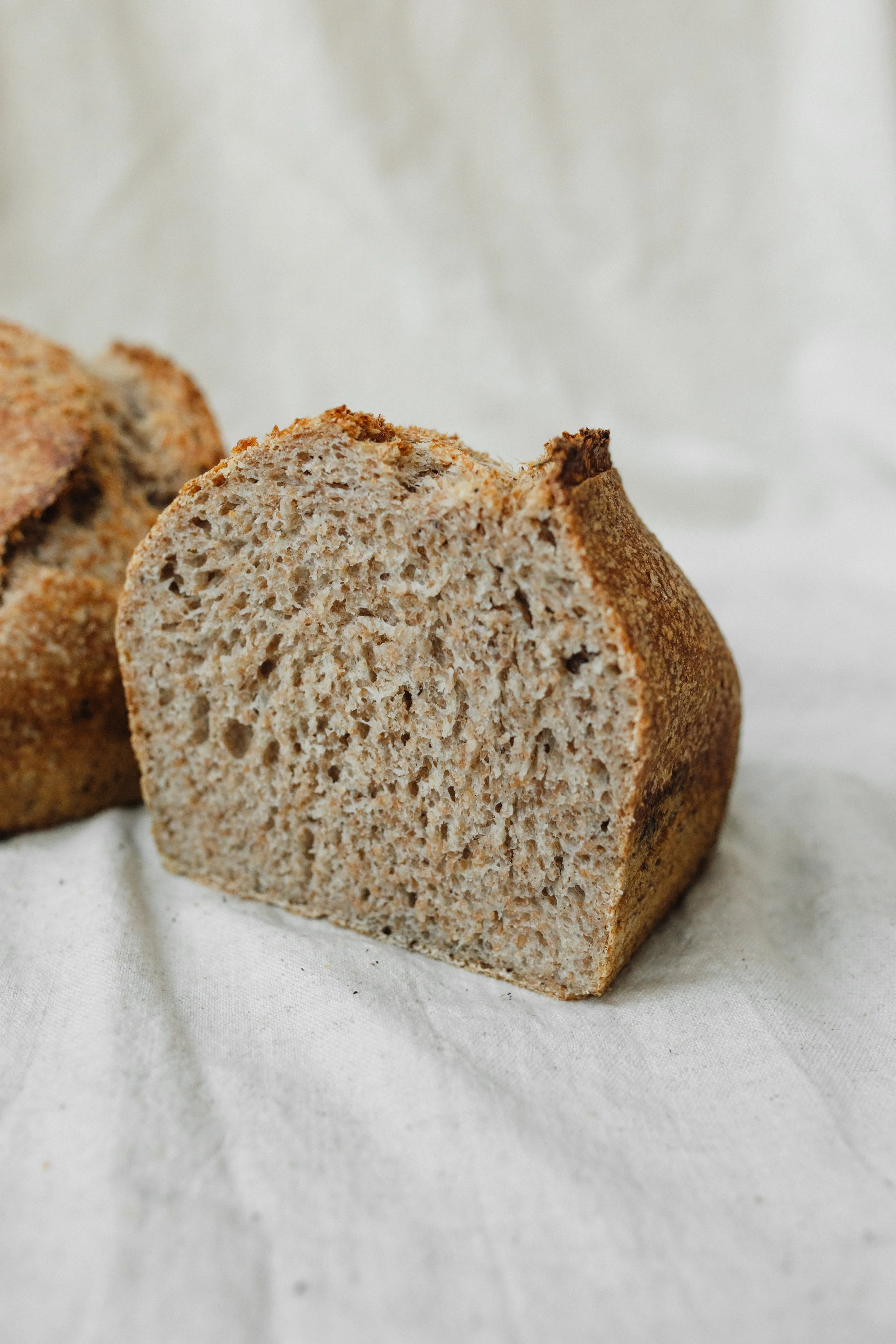 Signature tarwe donker groot 3.JPG