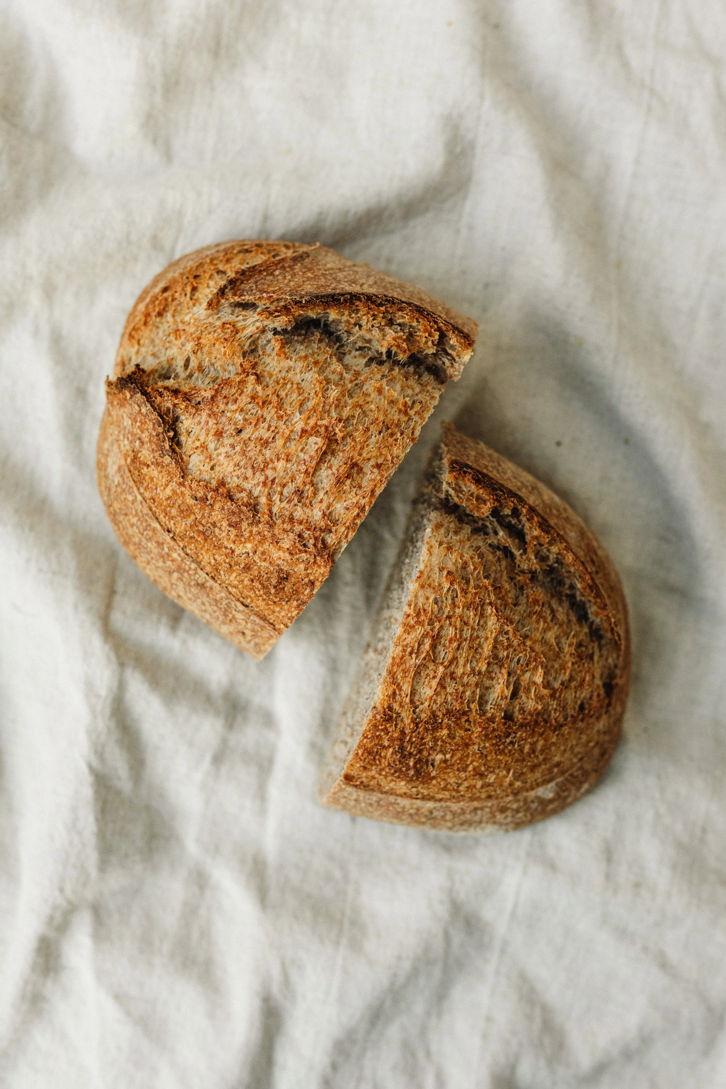 Signature tarwe donker 5.JPG