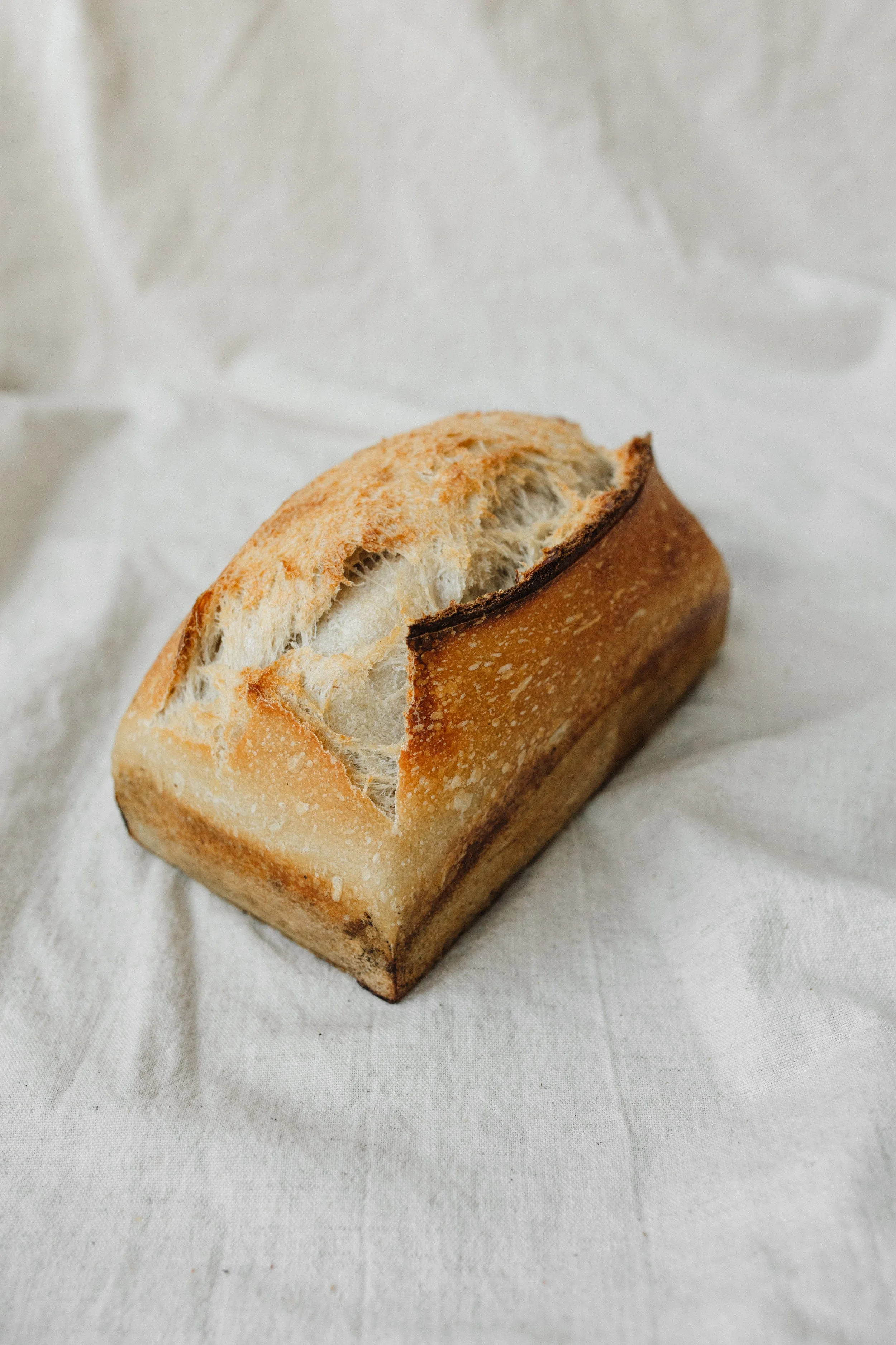 Signature tarwe wit groot 1.JPG