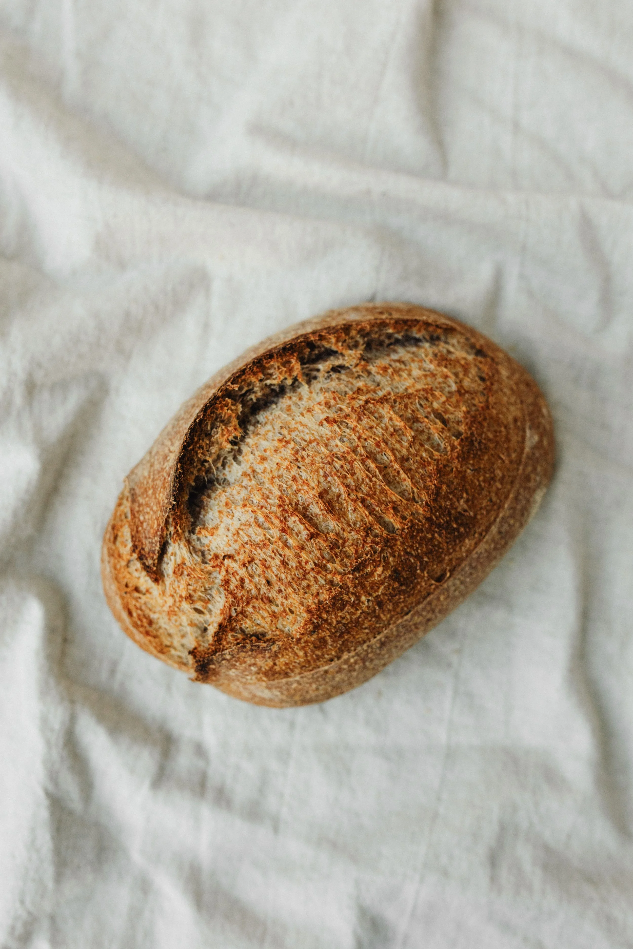 Signature tarwe donker 2.JPG