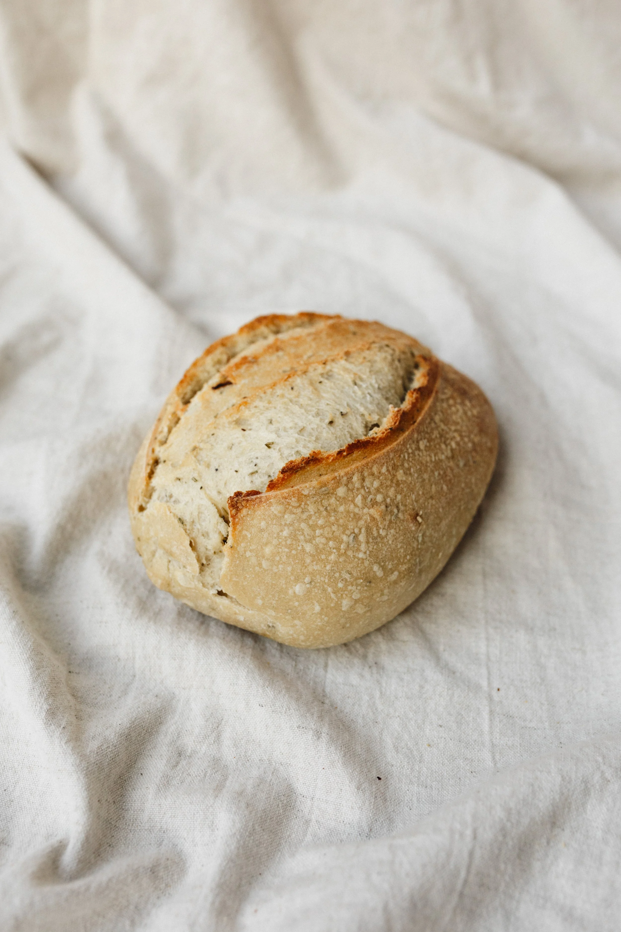 Rozemarijn knoflook 1.JPG