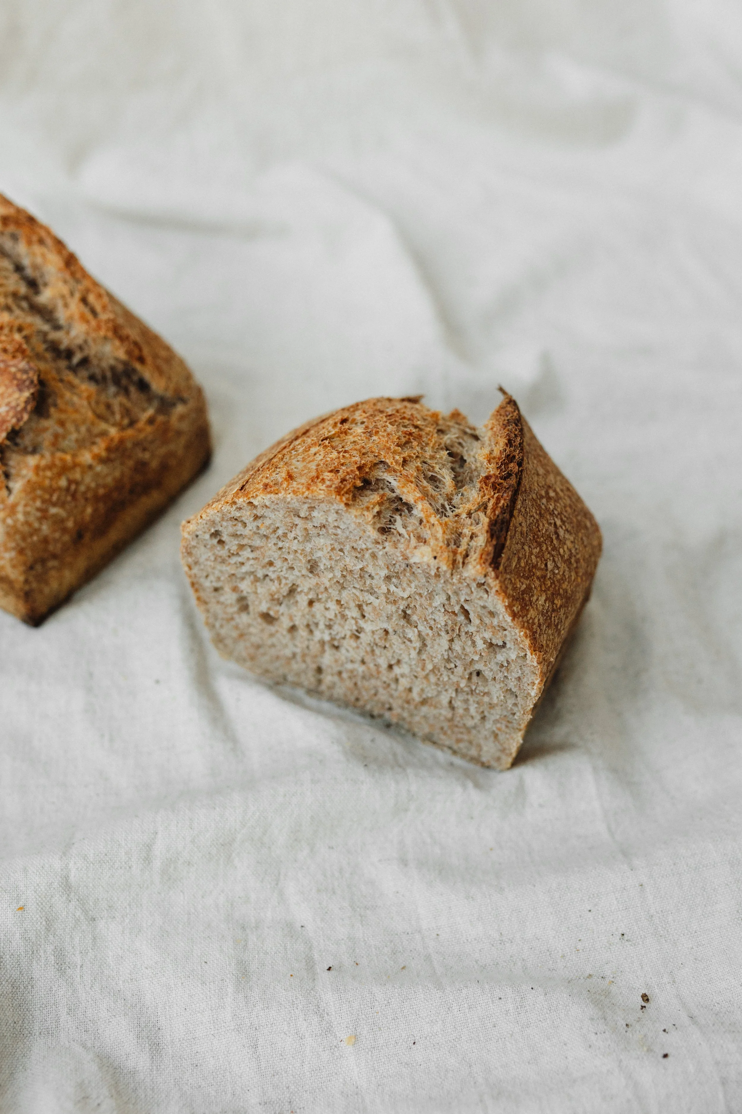 Signature tarwe donker groot 4.JPG