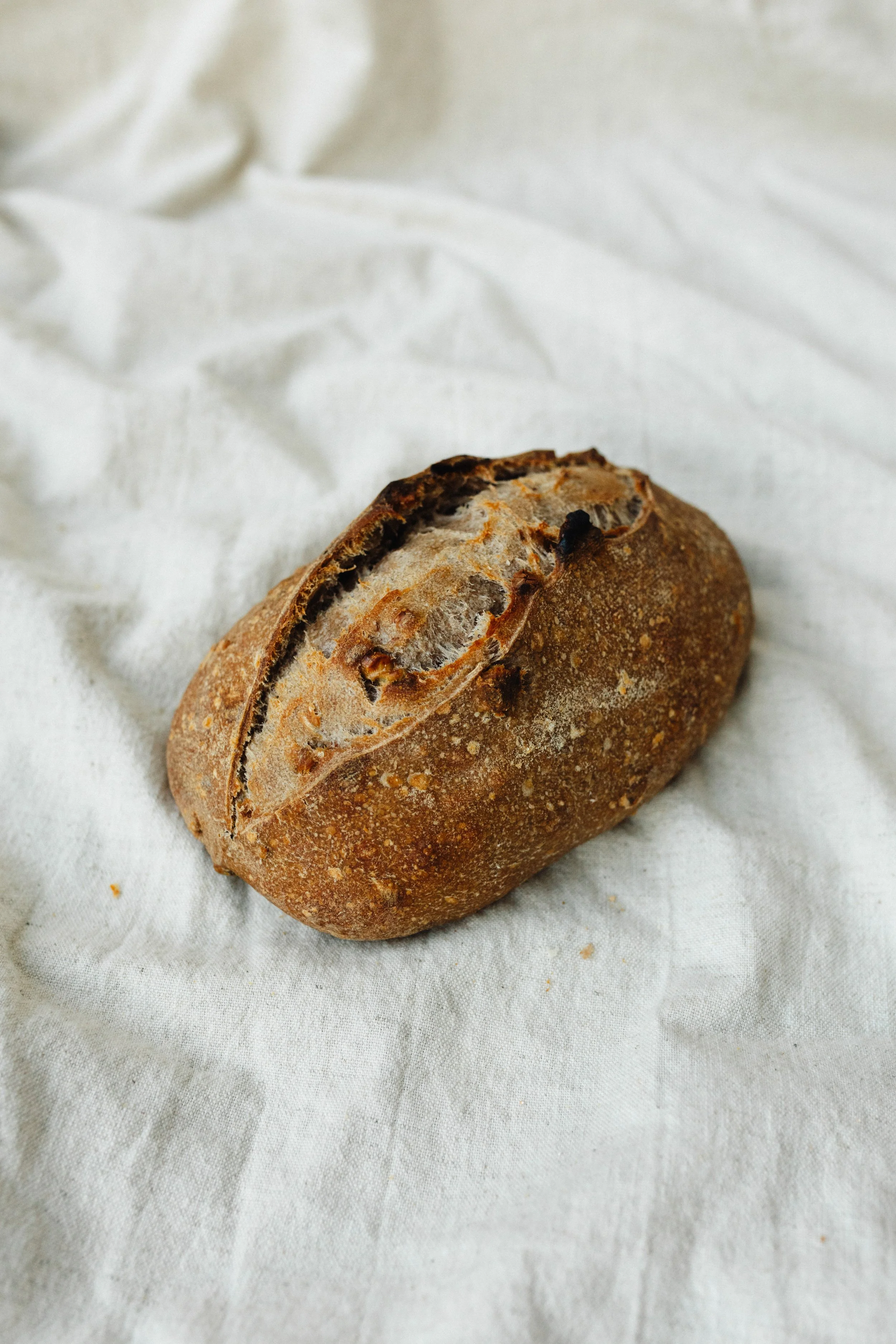 Honing walnoot kaneel 1.JPG