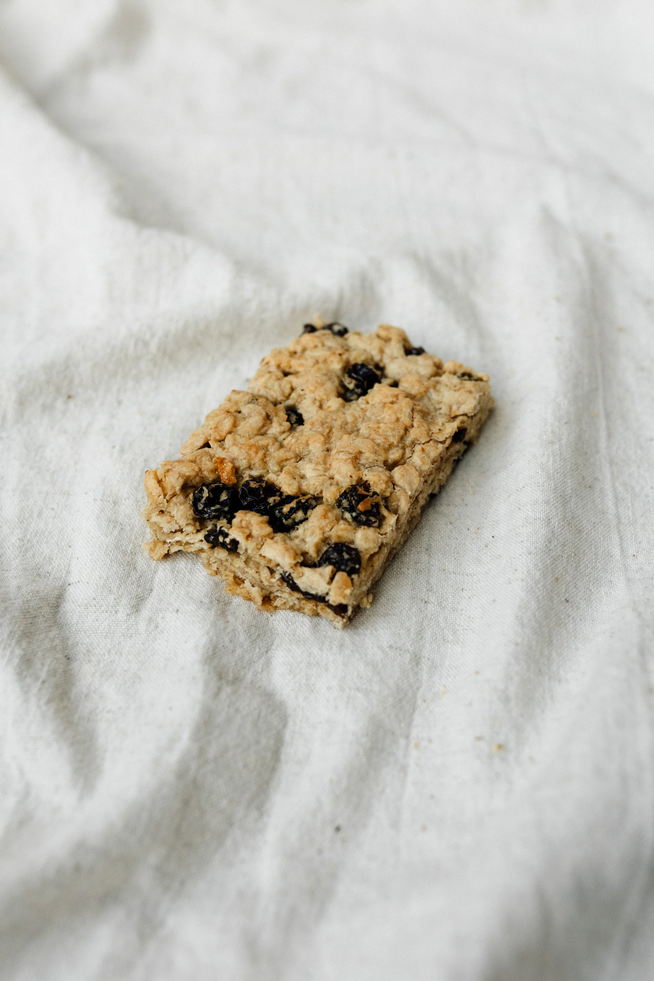 Haverkoek rozijn 1.JPG