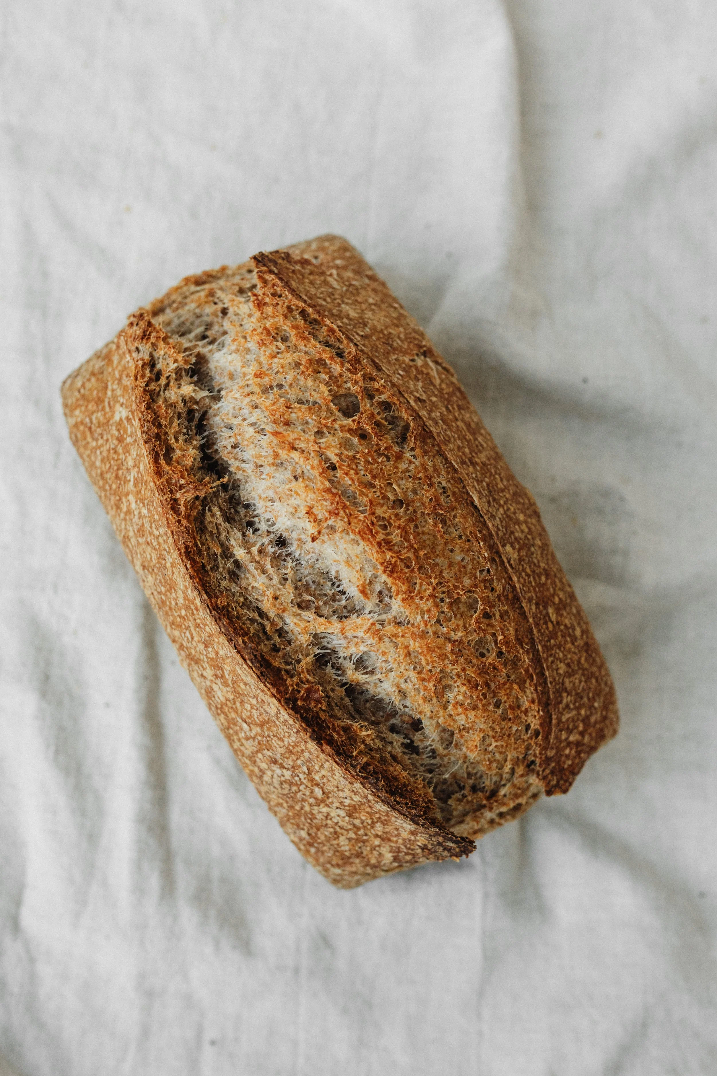 Signature tarwe donker groot 2.JPG