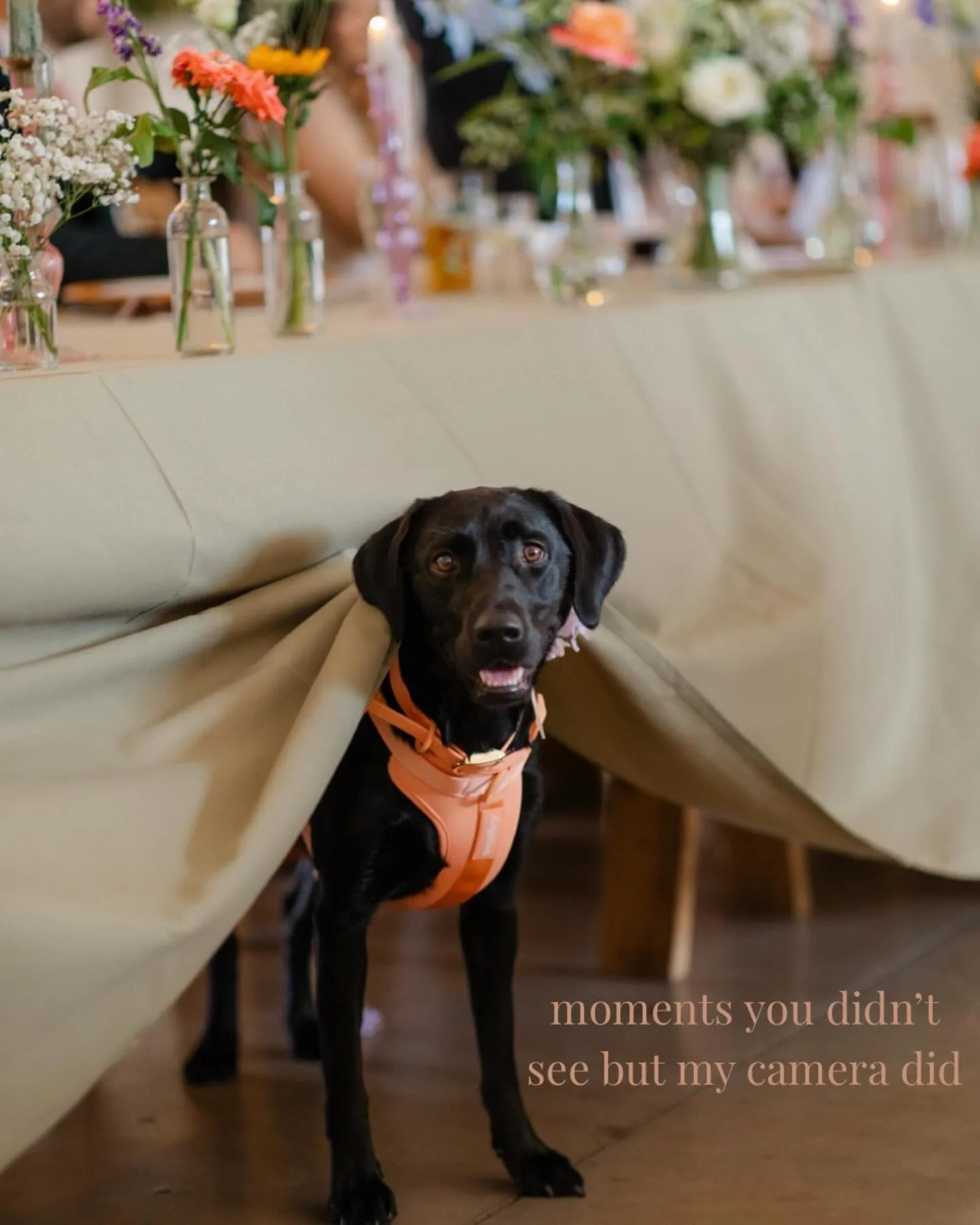 my favorite wedding day photos are always the unplanned, unposed moments 🤍
the real emotion, genuine connection, and meaningful in-between moments tell the story of your wedding day best.

looking forward to working with the incredible couples of 20