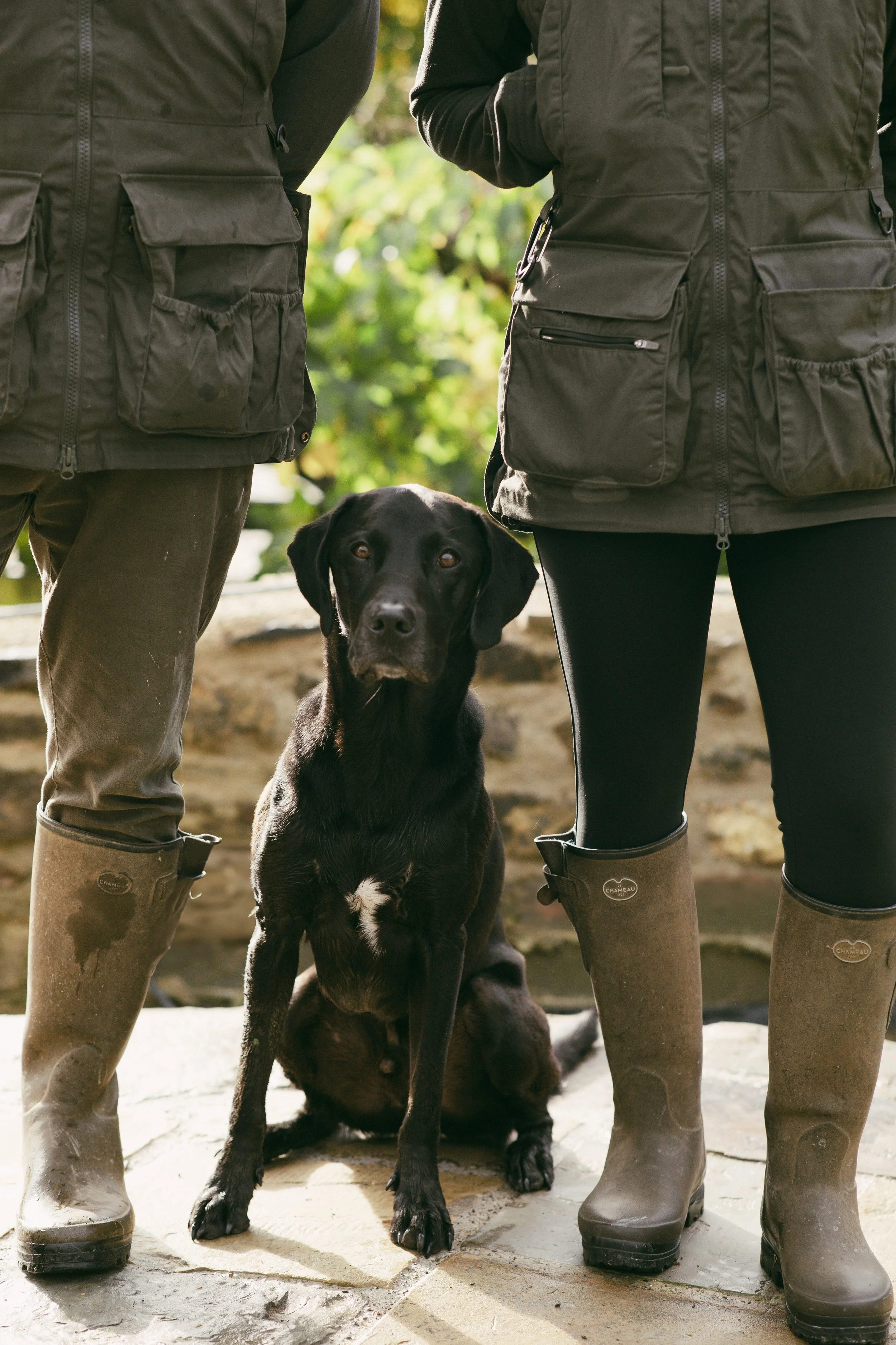 PhotosbySarahJoy-WoofwoldsxTheDogHouse-3909 (1).jpg