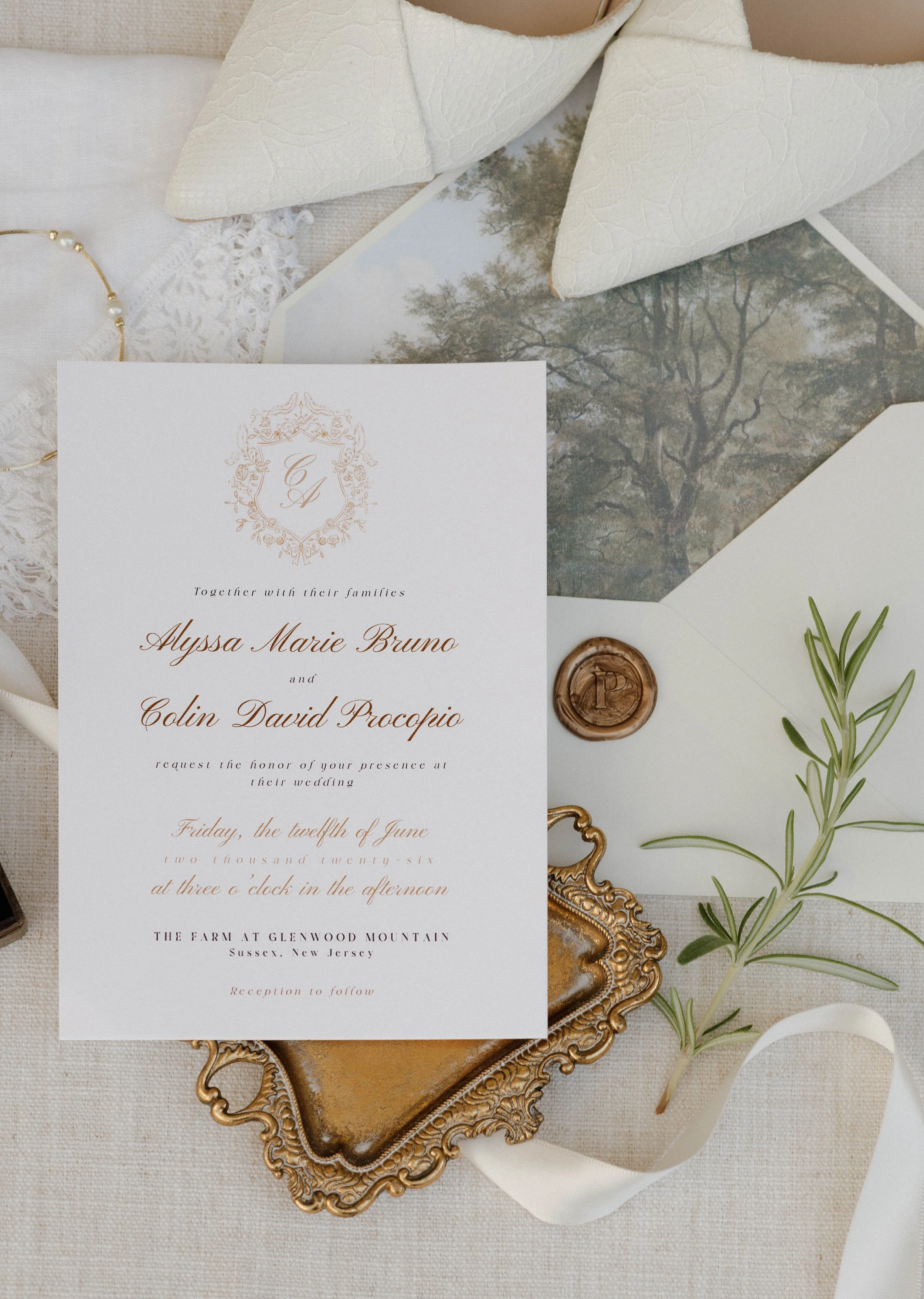 PhotosBySarahJoy-Colin+AlyssaWedding-1-3.jpg