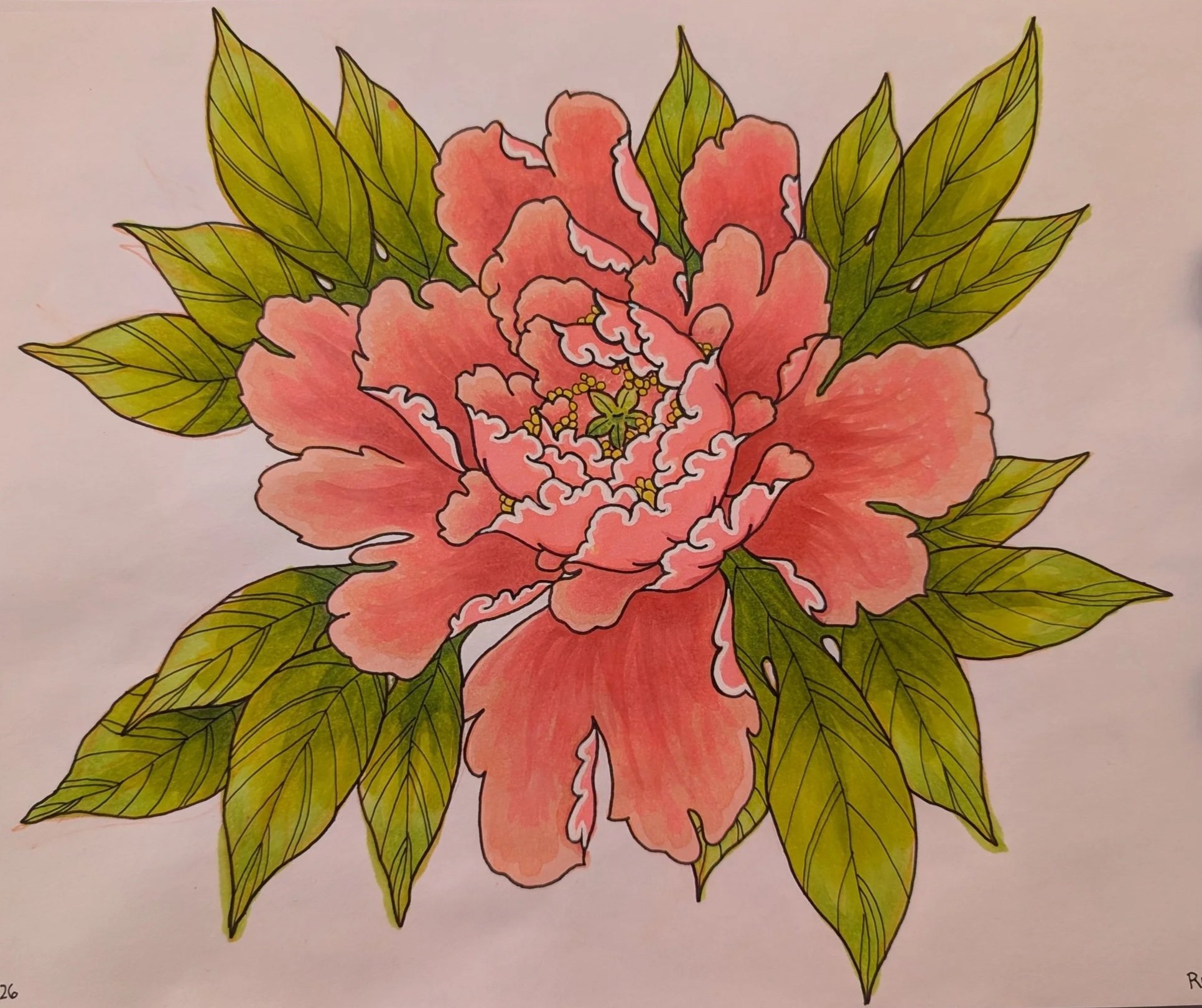 "Peony—after James Edward (inugami_tattoo)" 2026, 9" x 12" alcohol ink marker on marker paper