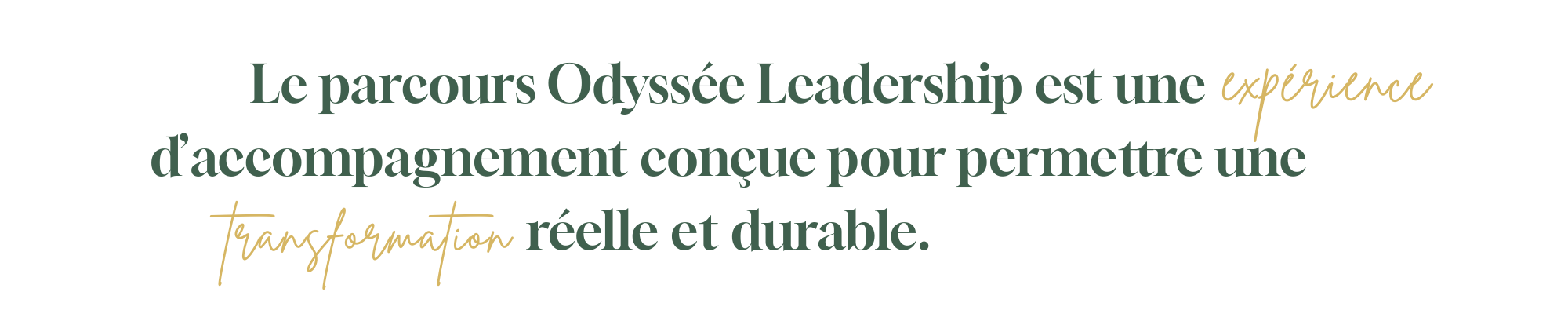 Accompagnement Odyssée Leadership transformation