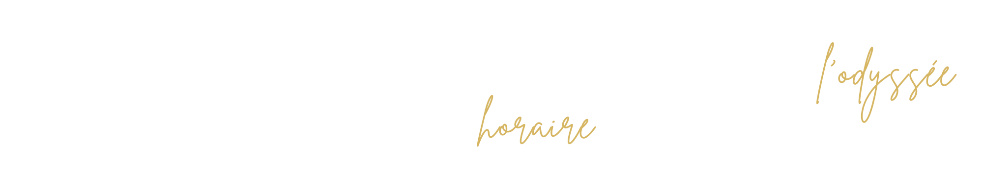 odyssée leadership horaire chargé