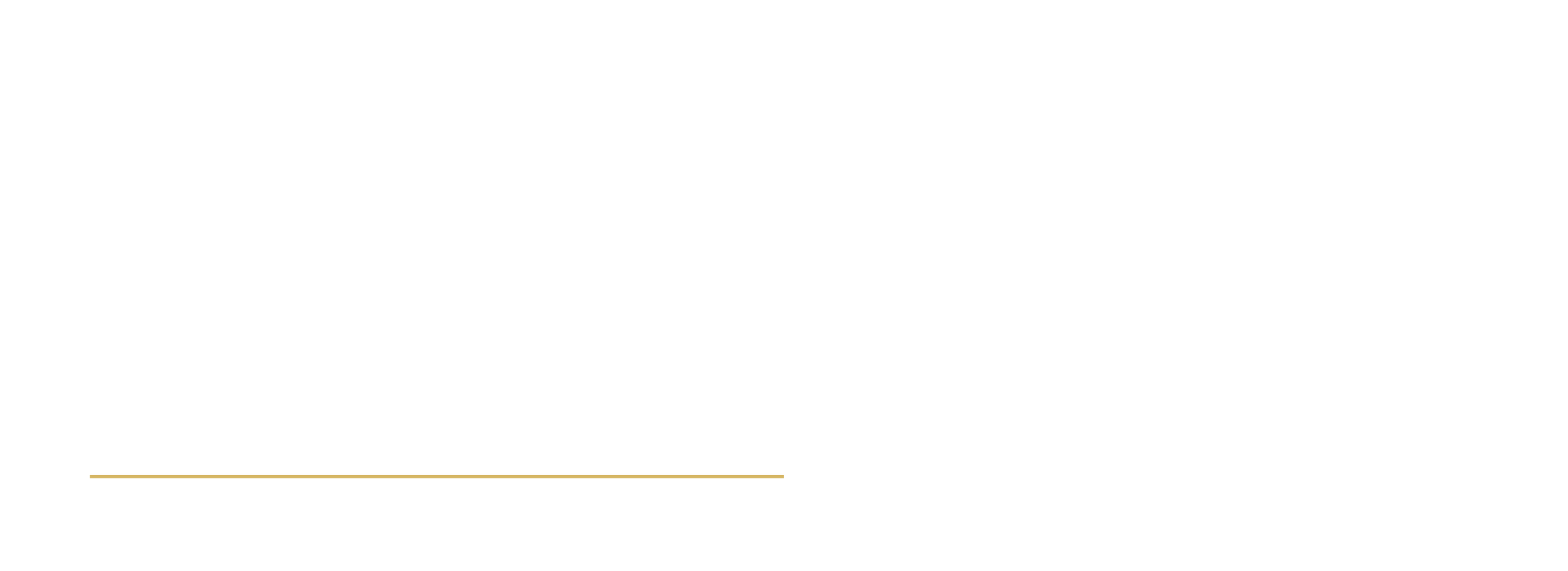 logo odyssée blanc