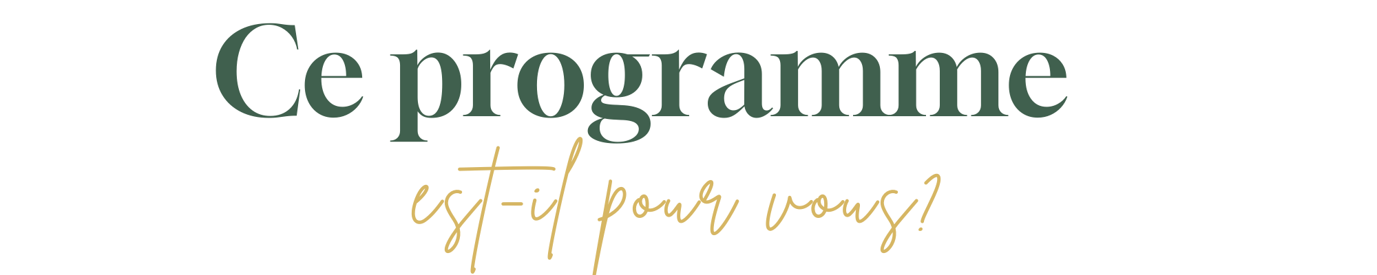 ce programe leadership