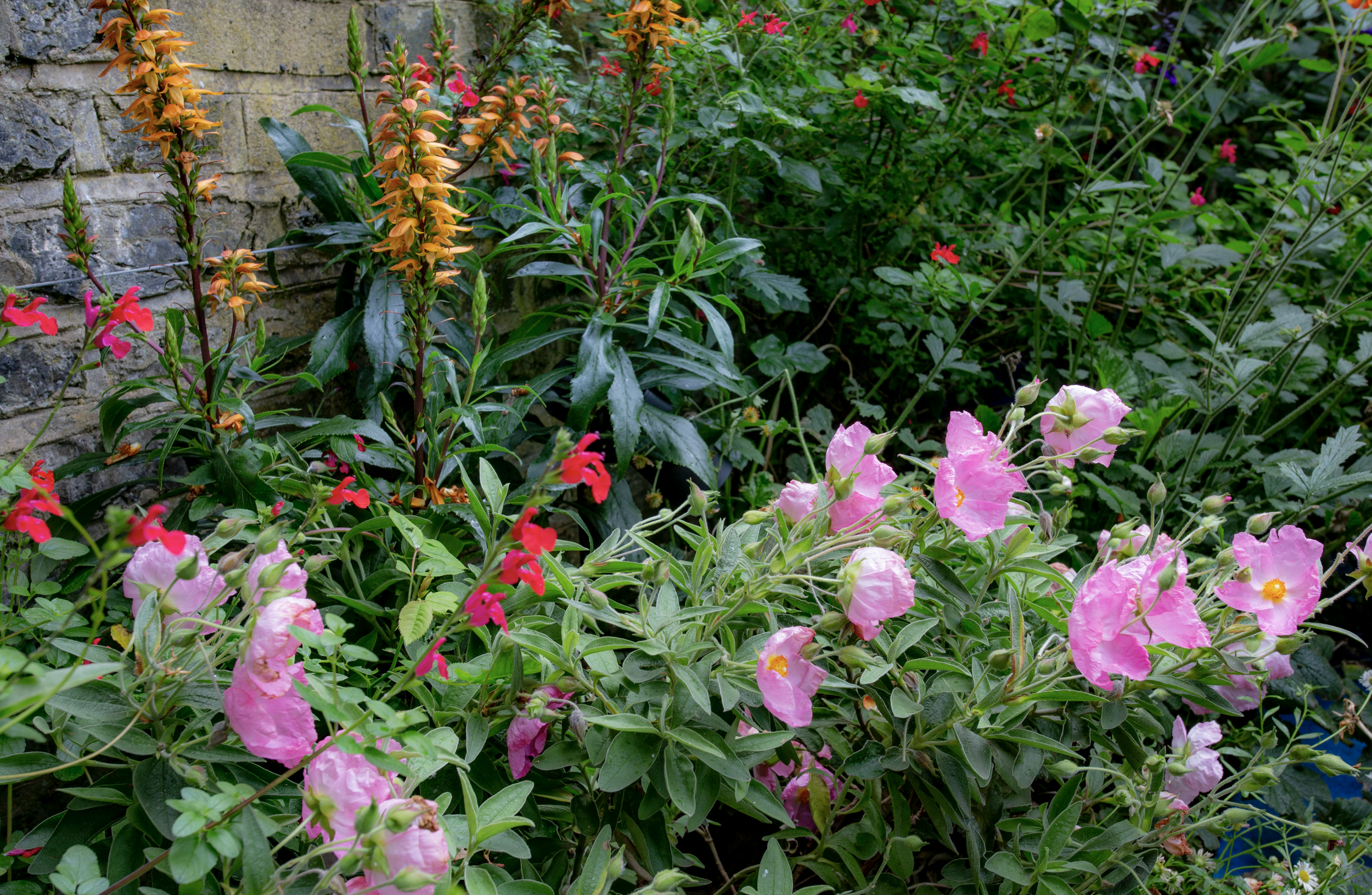 Screenshot 2026-03-25 at 16.47.30.png