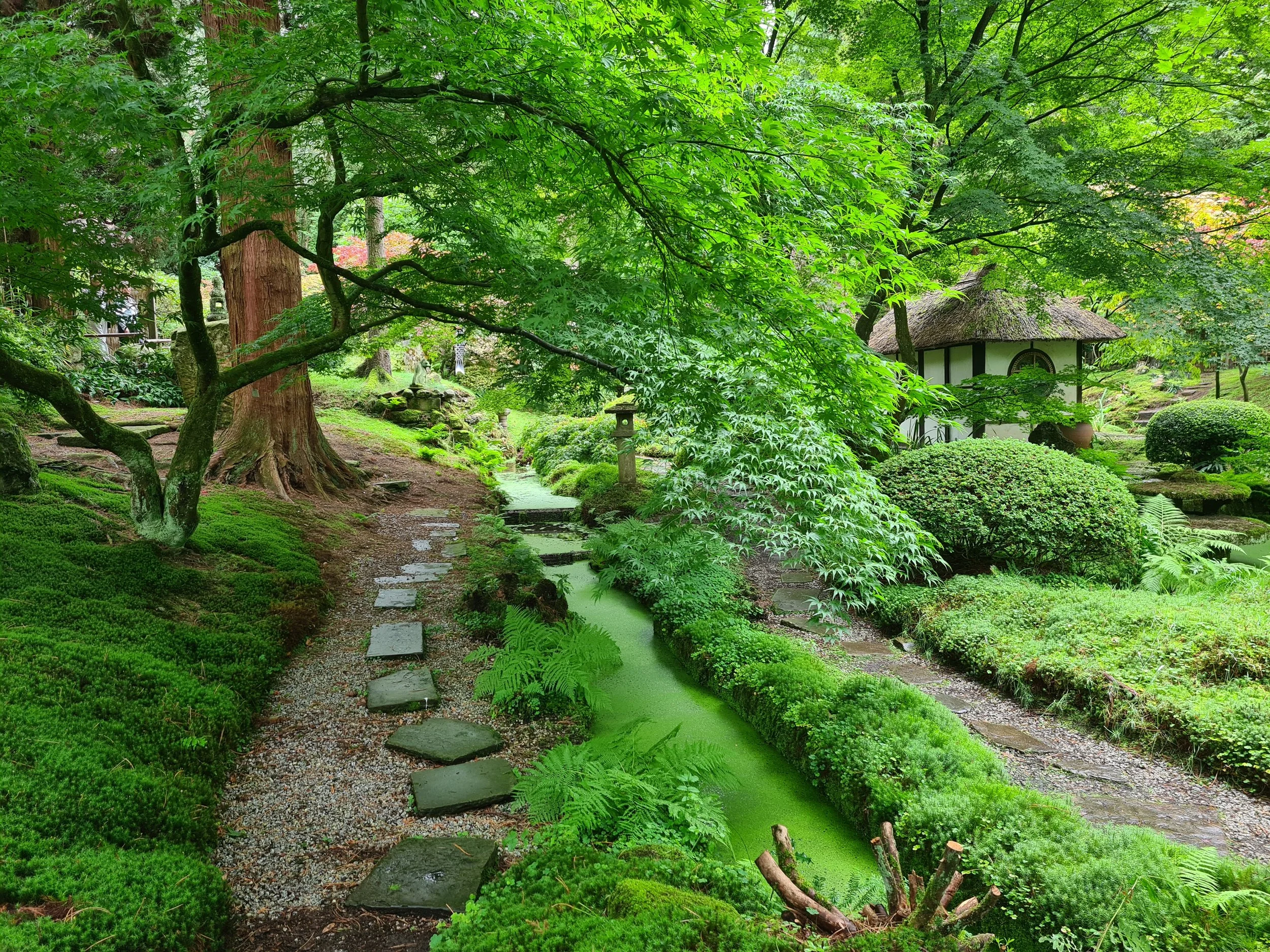 GARDEN PATH IDEAS