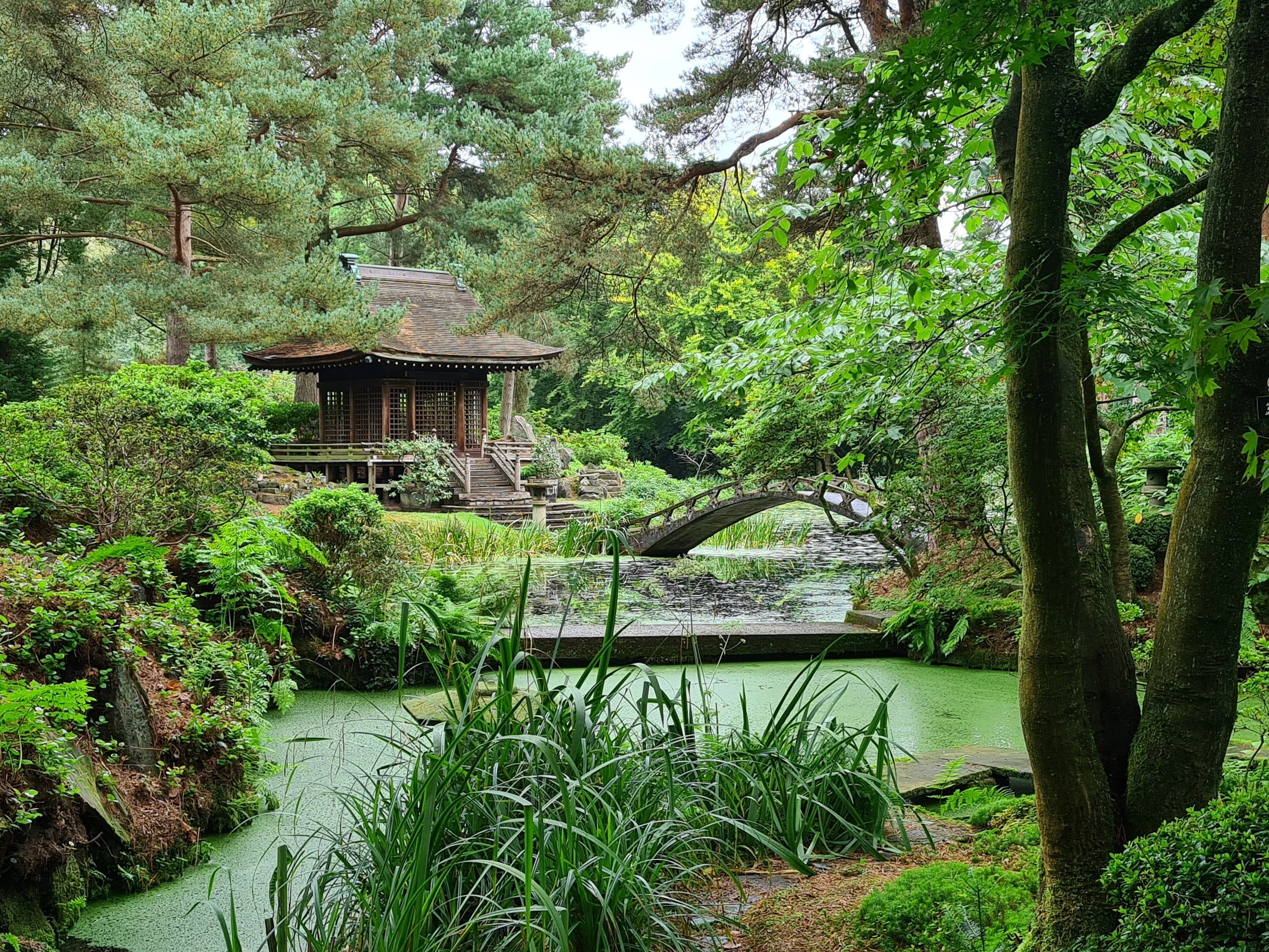 JAPANESE GARDENS 