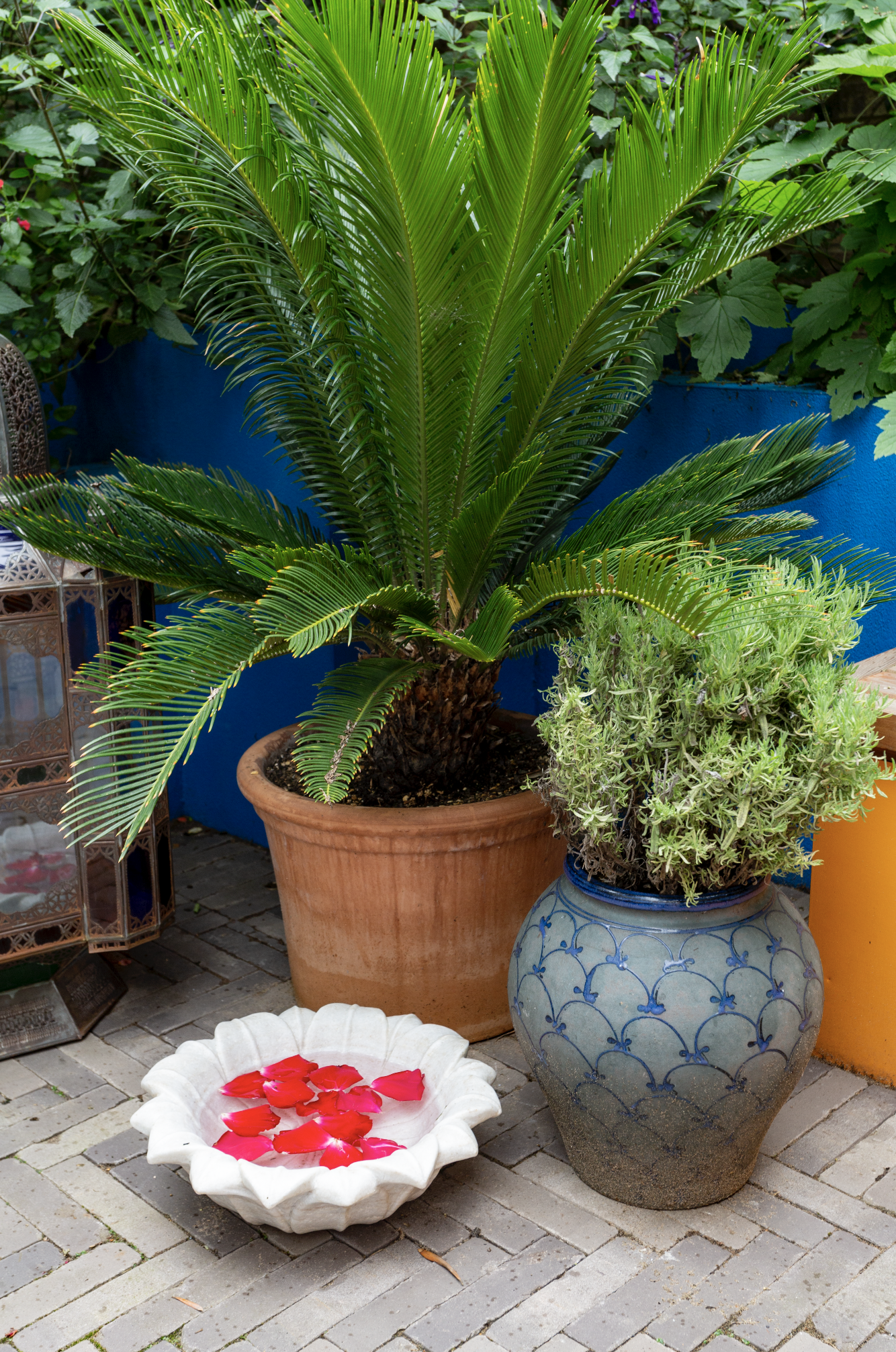 Screenshot 2026-03-25 at 16.47.23.png