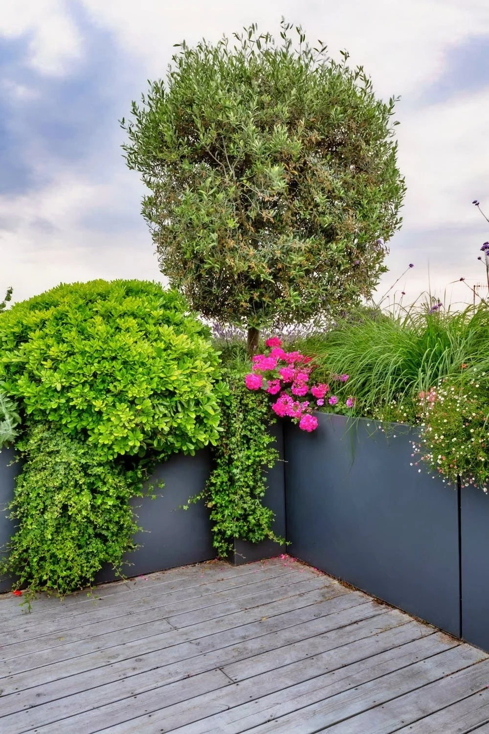 PDB_9_7_19_0917-HDR New.jpg