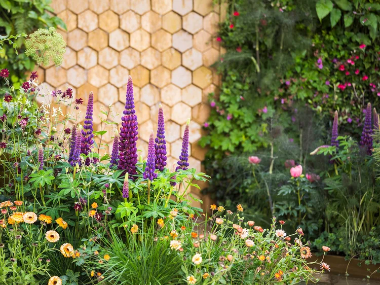 Manoj Maldé Garden Design | Luxury Garden Designer London & UK