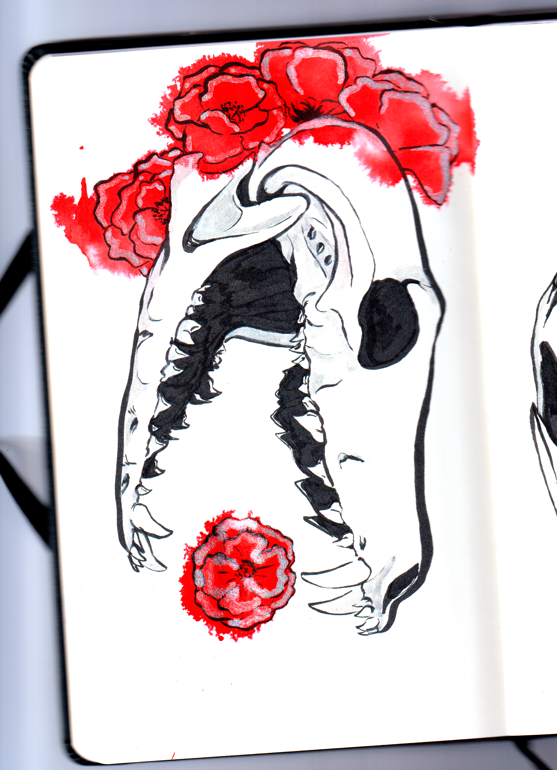A sketch of a wolf skull with an open jaw, drawn in black ink, adorned with red ink flowers in the background and in it's mouth.