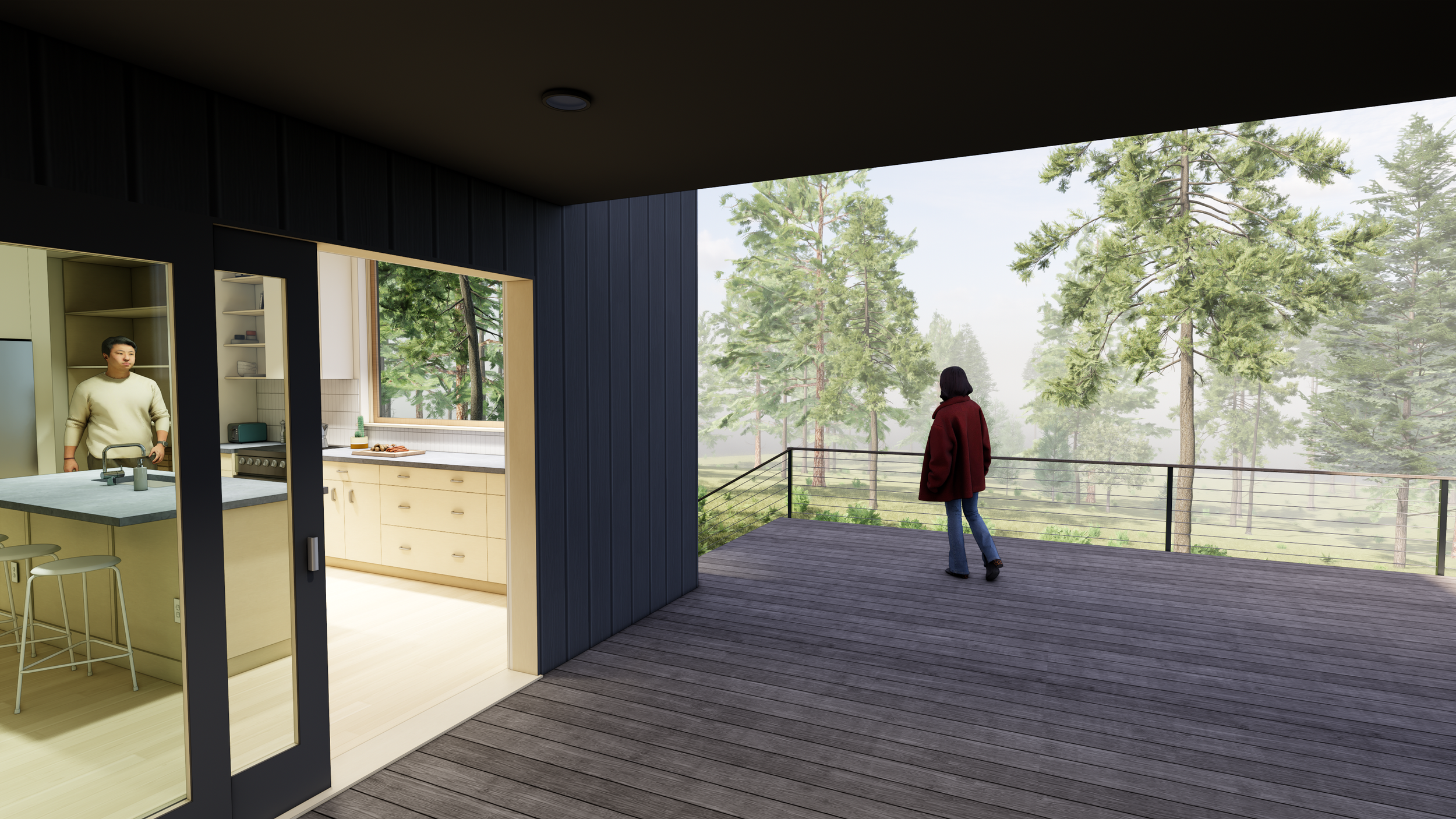 Enscape_2025-08-19-19-56-58_RENDER EXTERIOR DECK.png