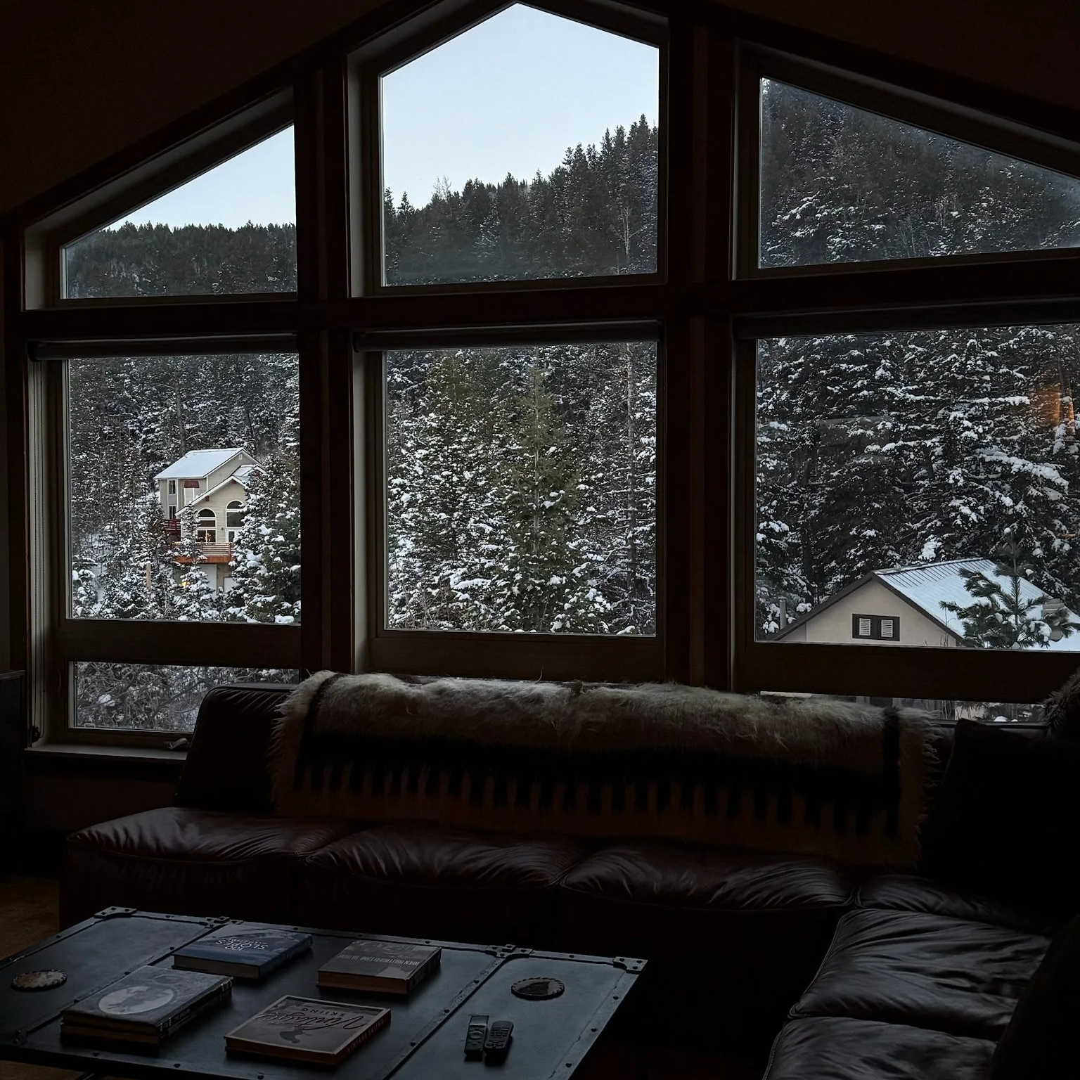 view of snowy trees from the living room