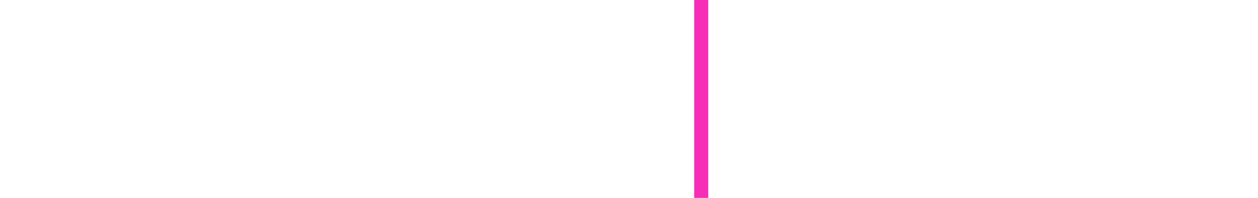 Full True North Logo with the highlight in pink