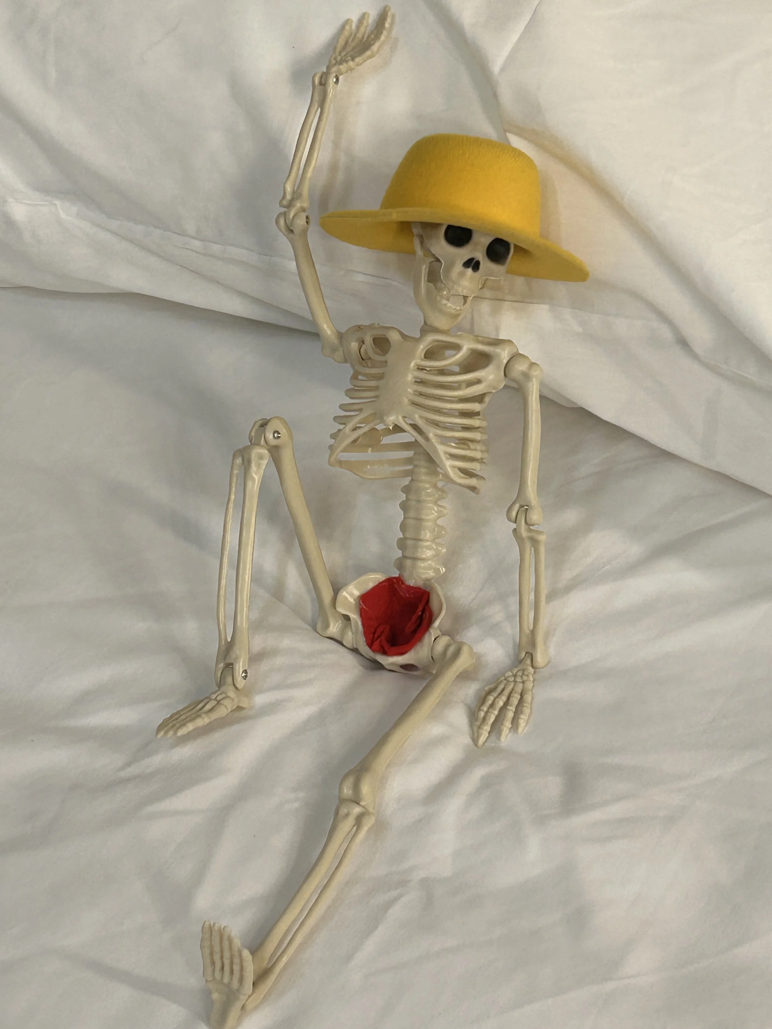 Pelvic Wise Physical therapy mascot.