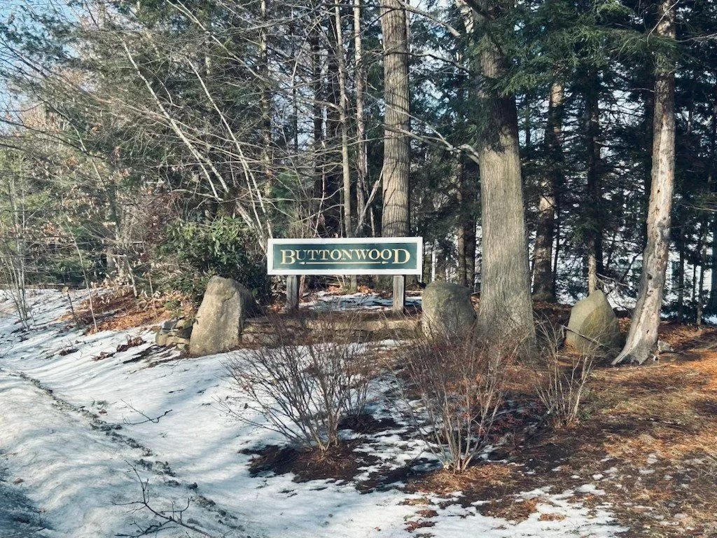 A sign reading 'Buttonwood' located on a landscaped area with large rocks and leafless bushes, surrounded by tall trees and snow on the ground.