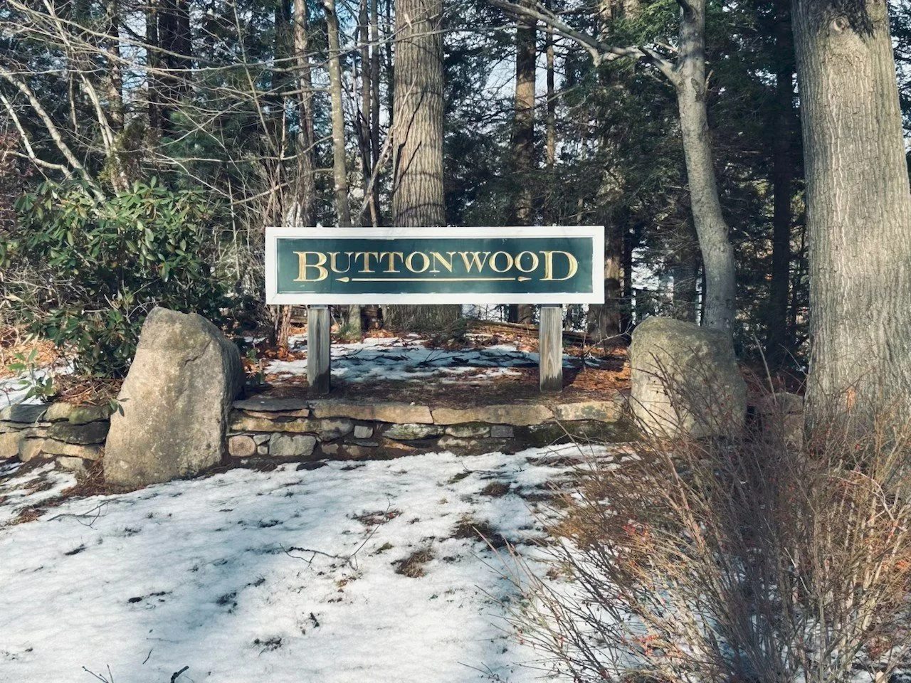 A sign reading 'Buttonwood' is placed on a stone platform surrounded by trees and snow on the ground.