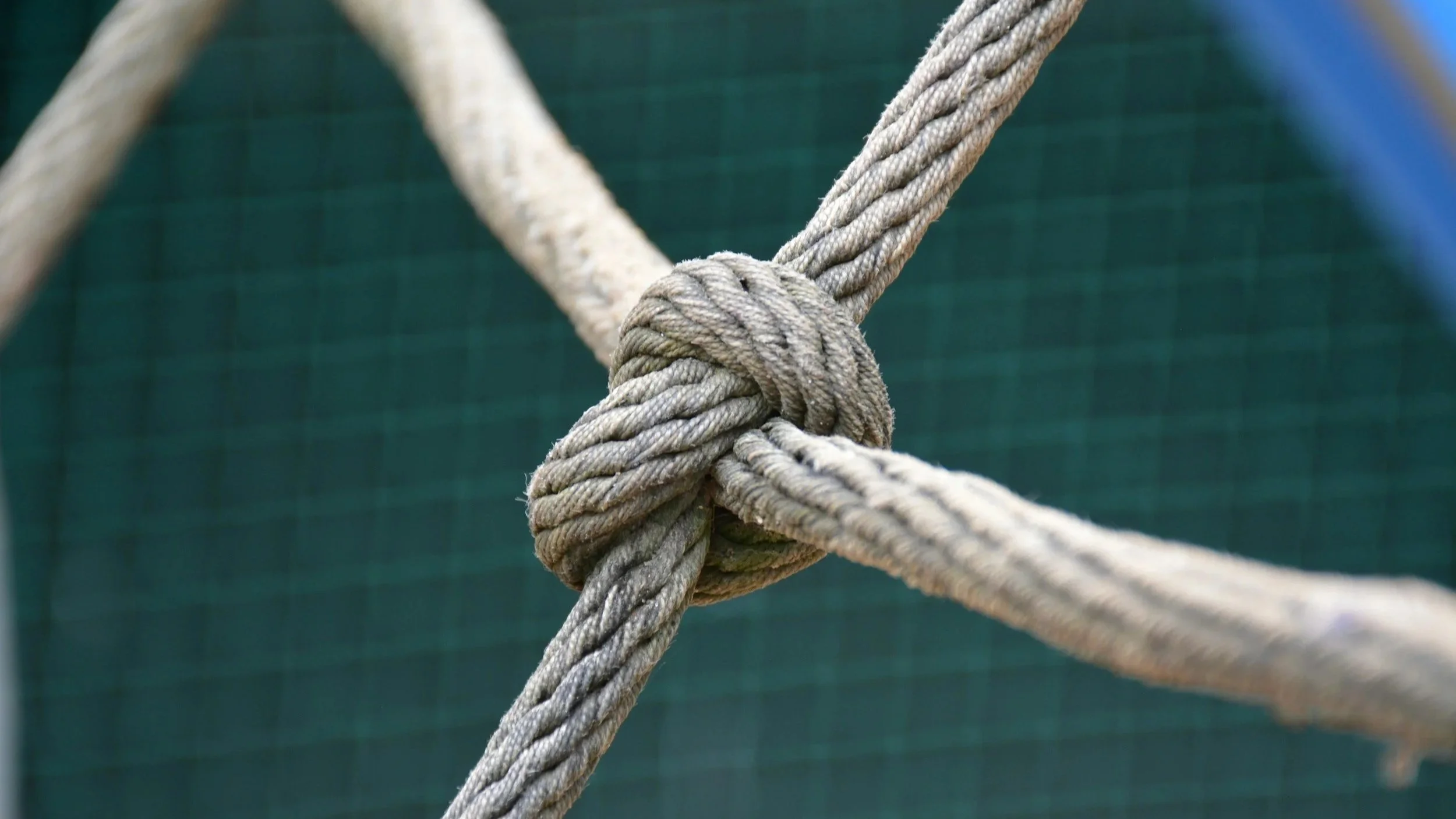 Ein enge Knoten mit mehreren Seilen, die miteinander verbunden sind, vor einem grünen Maschendrahtzaun.