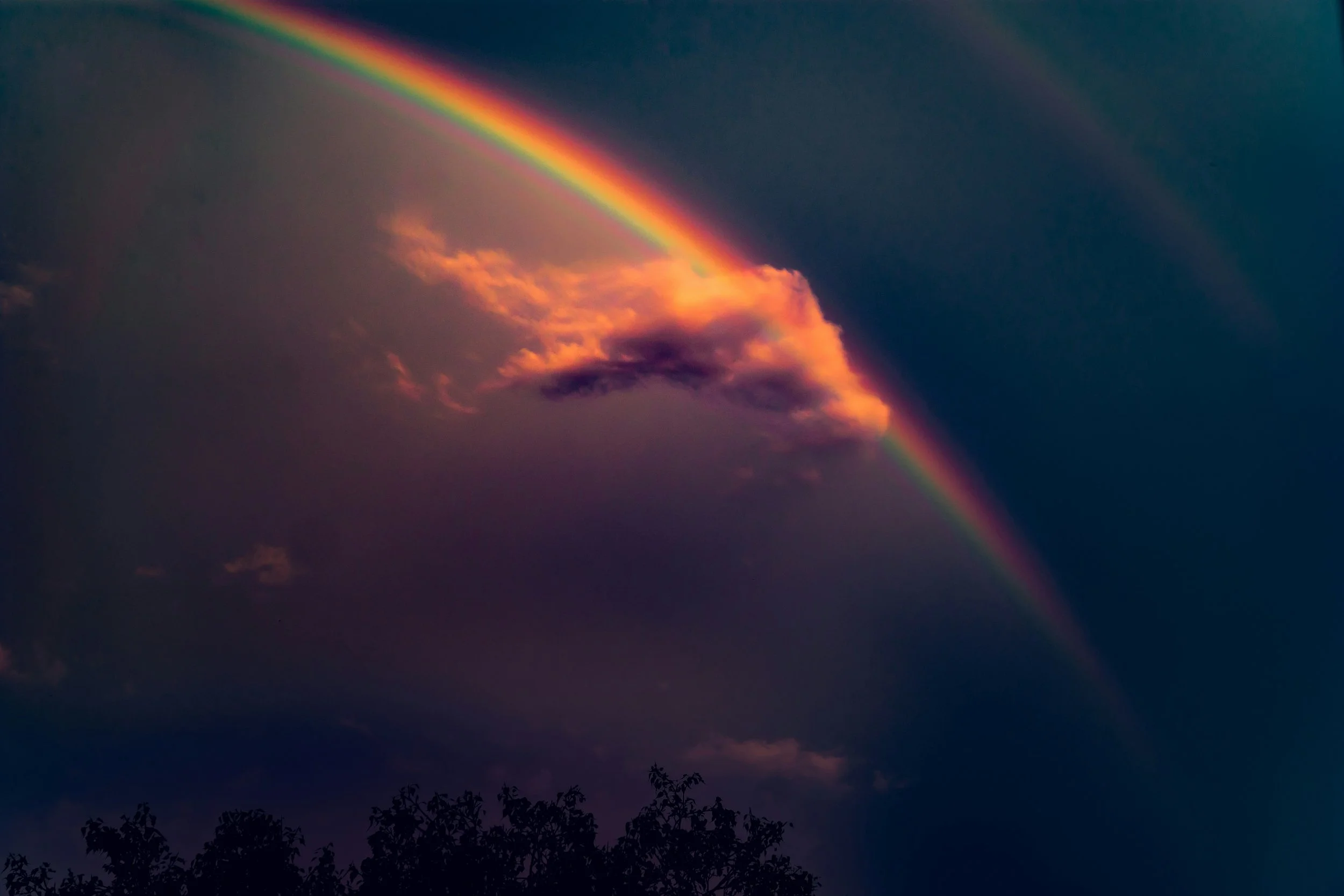 Ein Regenbogen vor einem dunklen Himmel mit Wolken und einem dunklen Baum im Vordergrund.