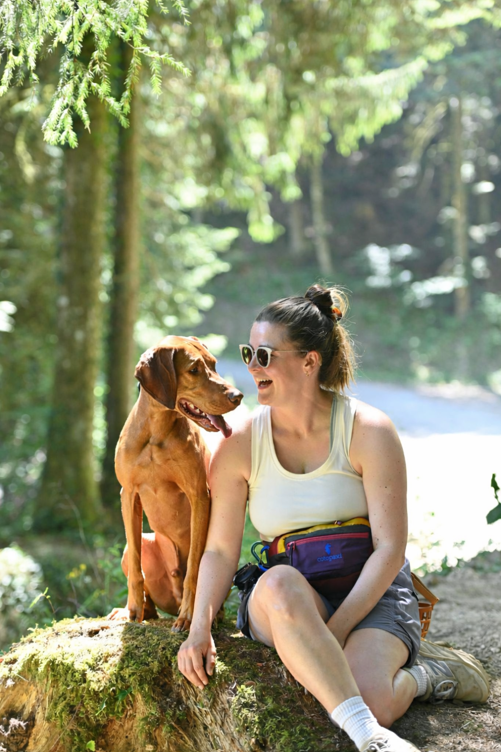 Zara is sat on a moss-covered tree stump in a forest, smiling and talking to her vizsla Jeffrey who has short russet-gold hair, both enjoying a sunny day outdoors.
