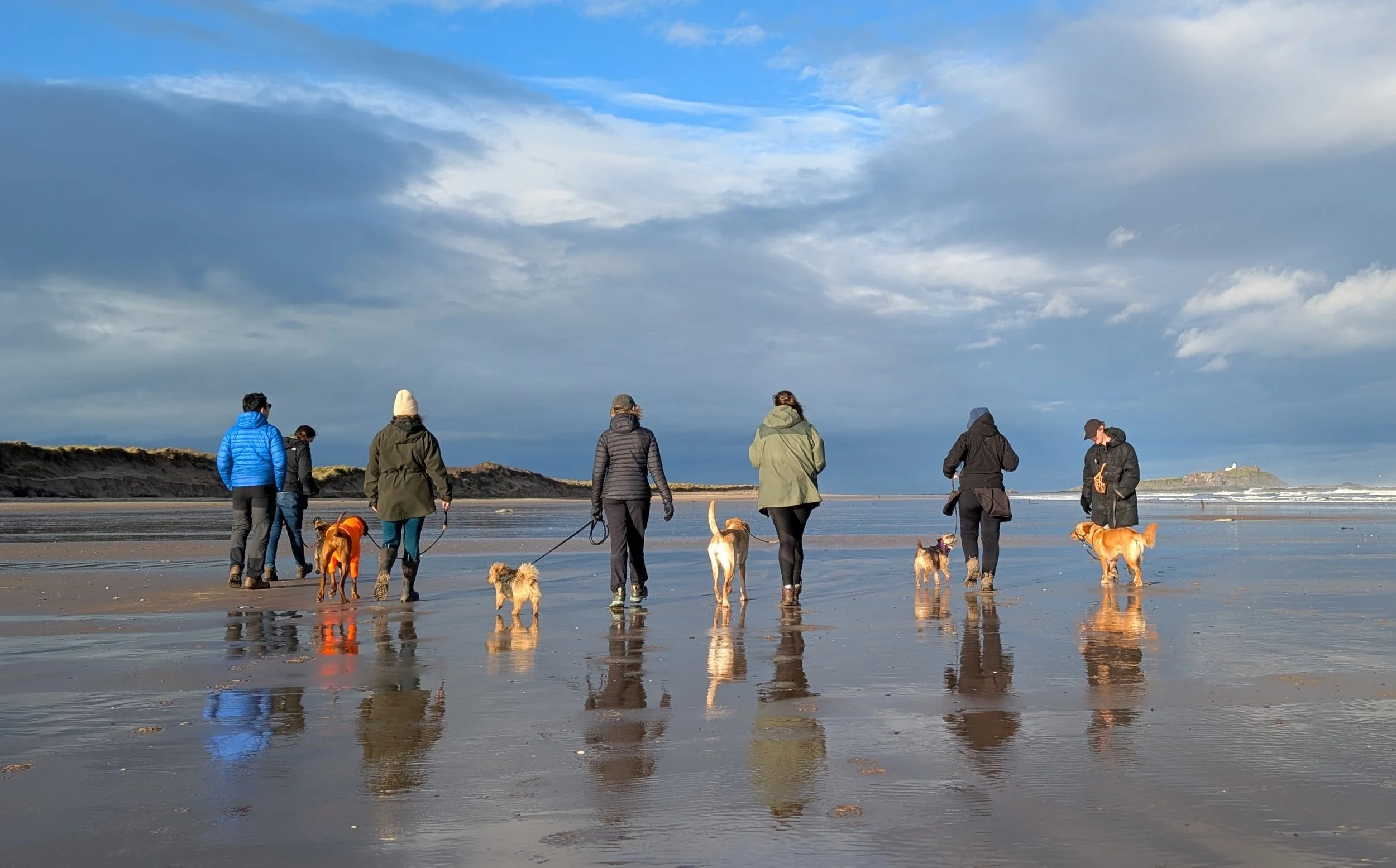 People walking their dogs on a beach during cloudy weather with sand dunes and a distant headland in the background.