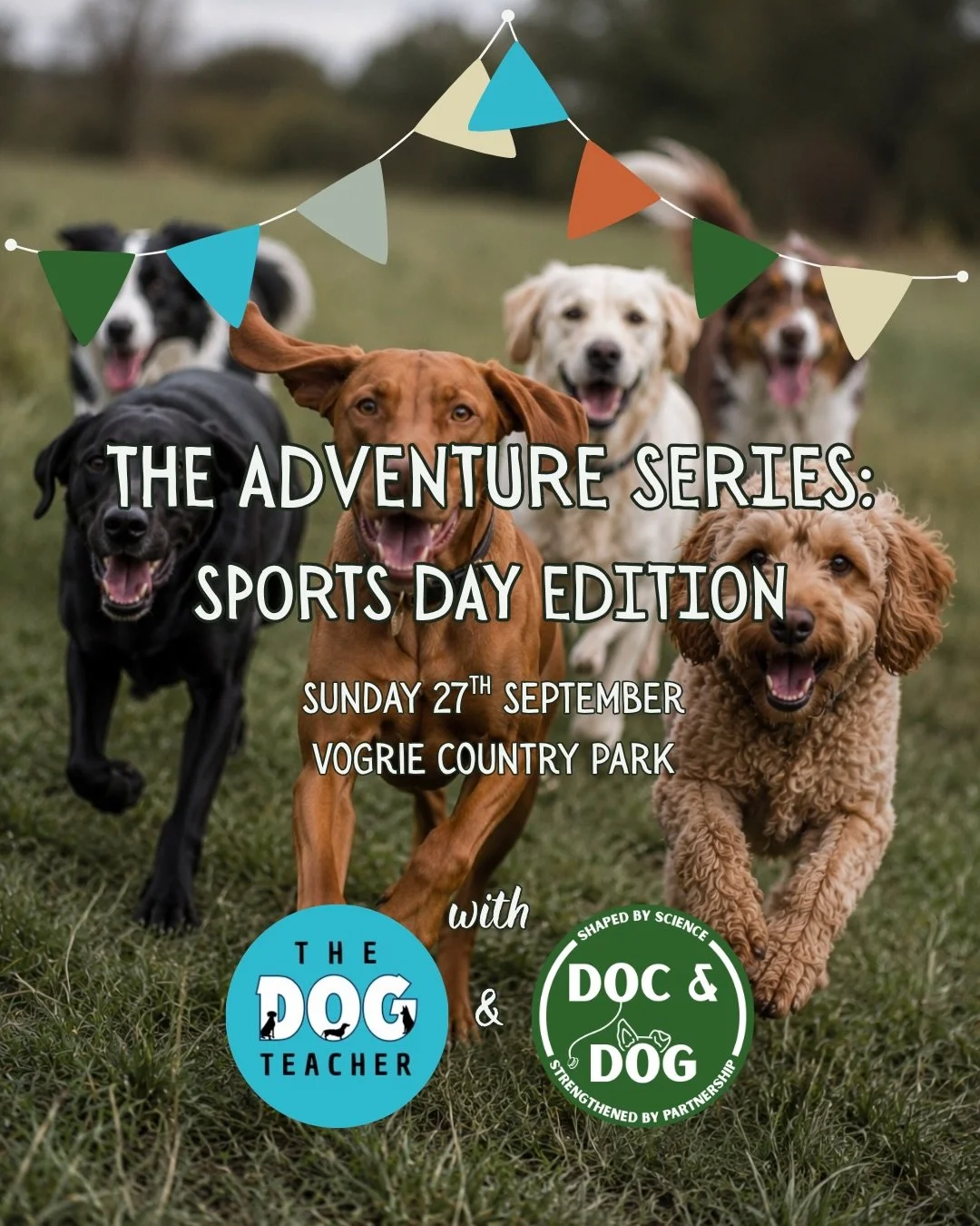 🏆THE ADVENTURE SERIES: SPORTS DAY EDITION🏆

We&rsquo;re bringing together dogs, humans and dog sports for a jam-packed day of trying new things, having fun and putting your teamwork to the test!

Join @thedogteacherfife and @doc_and_dog_edinburgh a