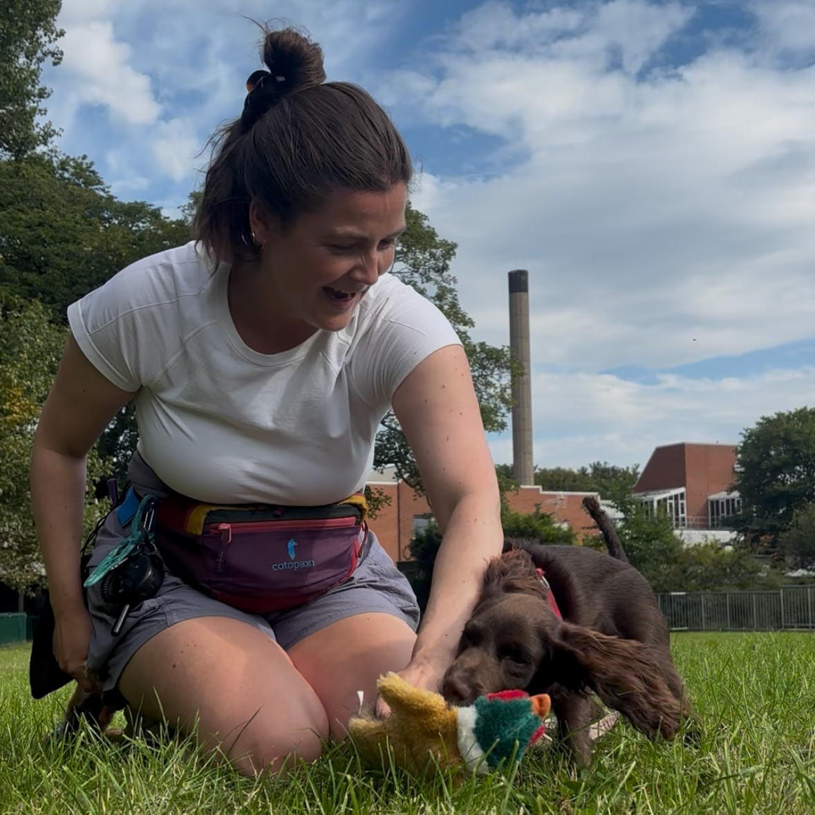 Zara plays with a brown spaniel on a grassy field, holding a toy in her hand. Zara is smiling and wearing a white t-shirt, purple shorts, and a bum bag. The background shows a partly cloudy sky, trees, and a building with a tall chimney.