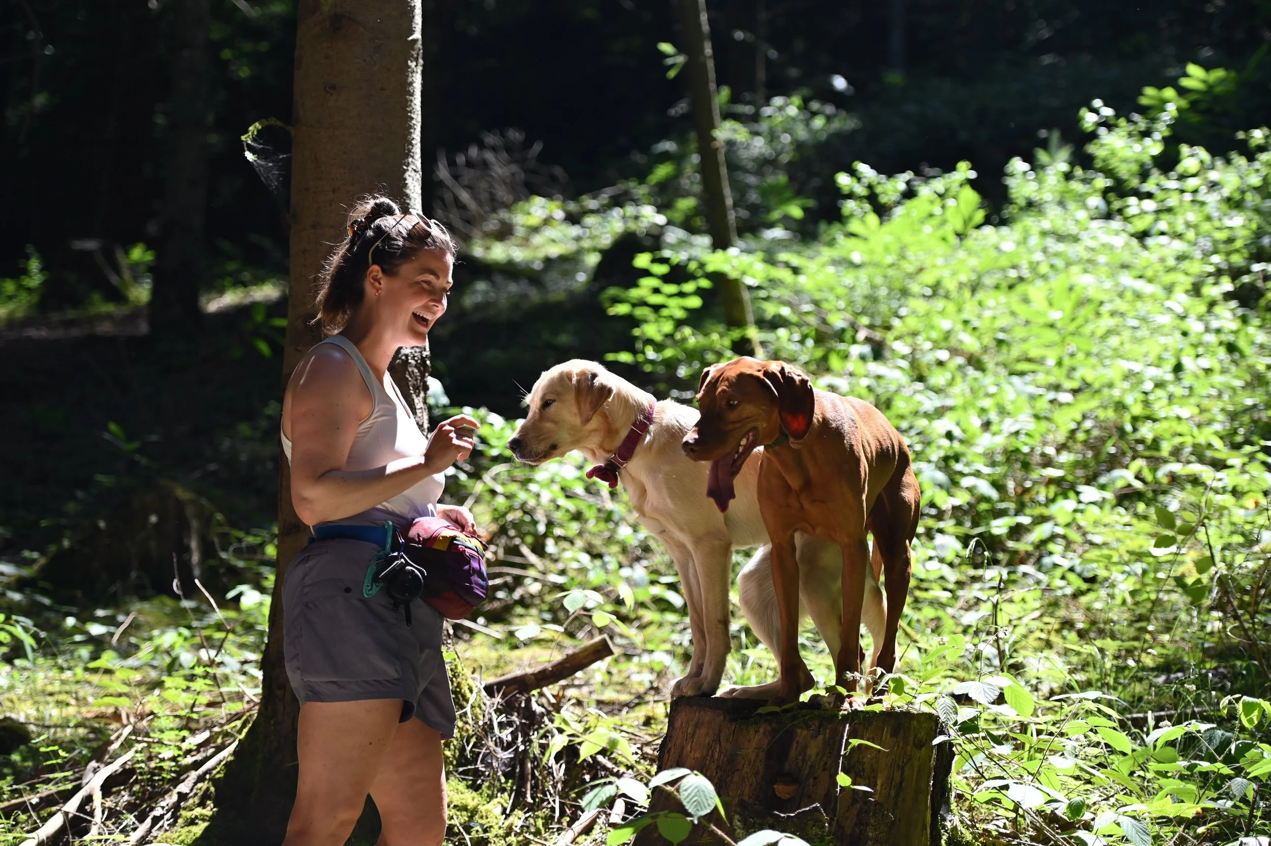 Zara stands in a forest smiling while she trains two dogs - a blonde labrador retriever and a russet golf vizsla.